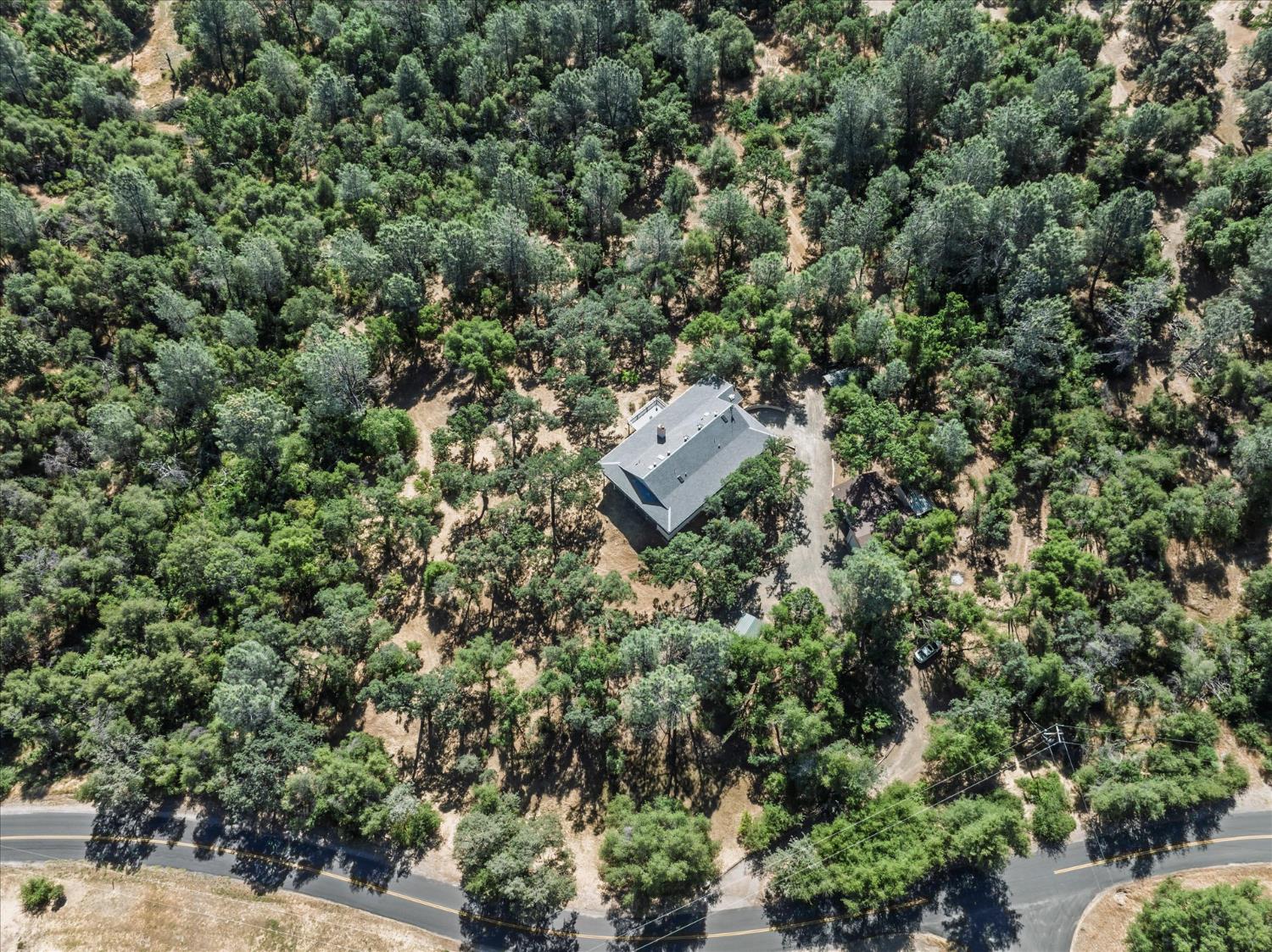 31493 Hazelwood