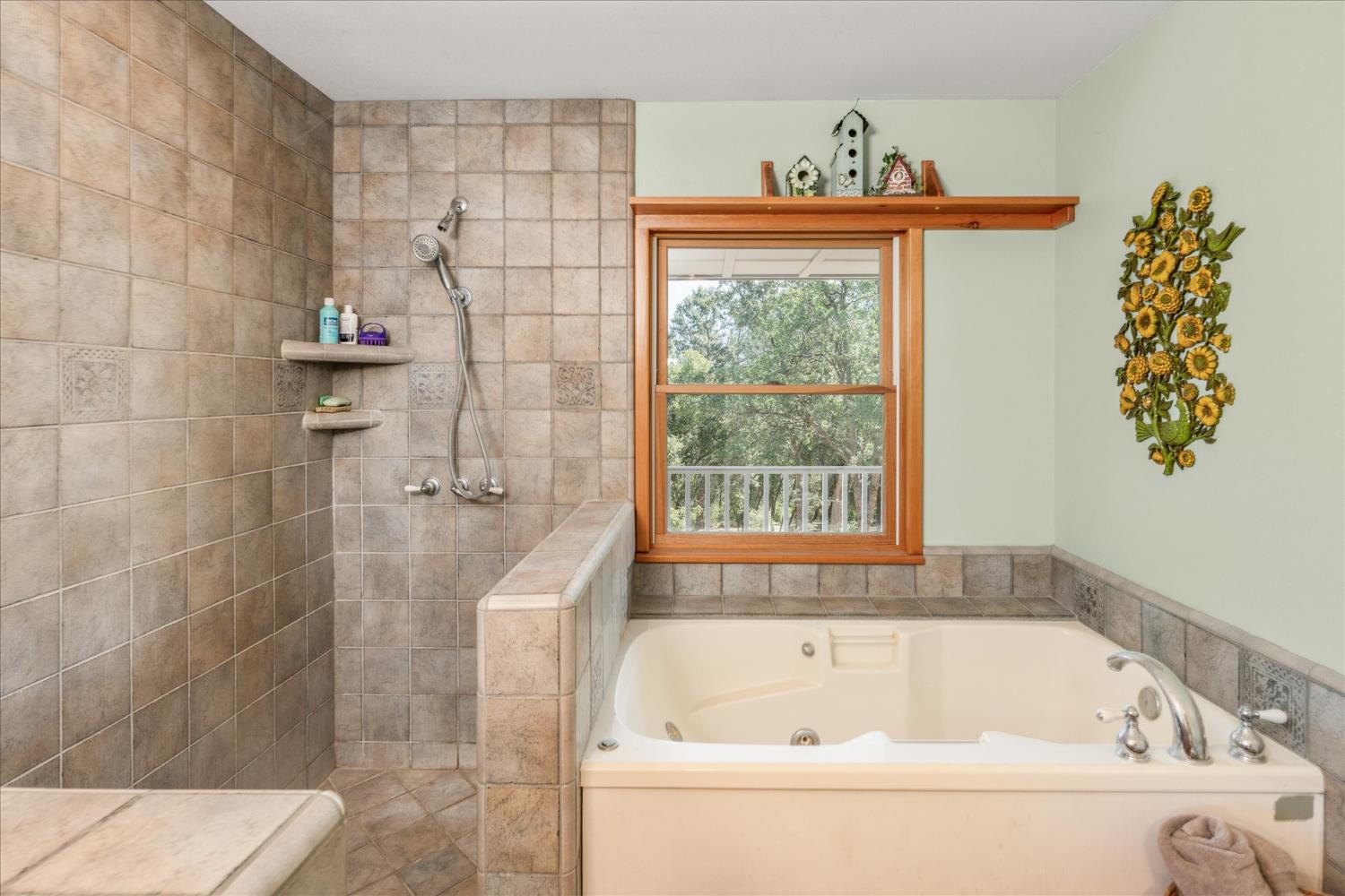 31493 Hazelwood