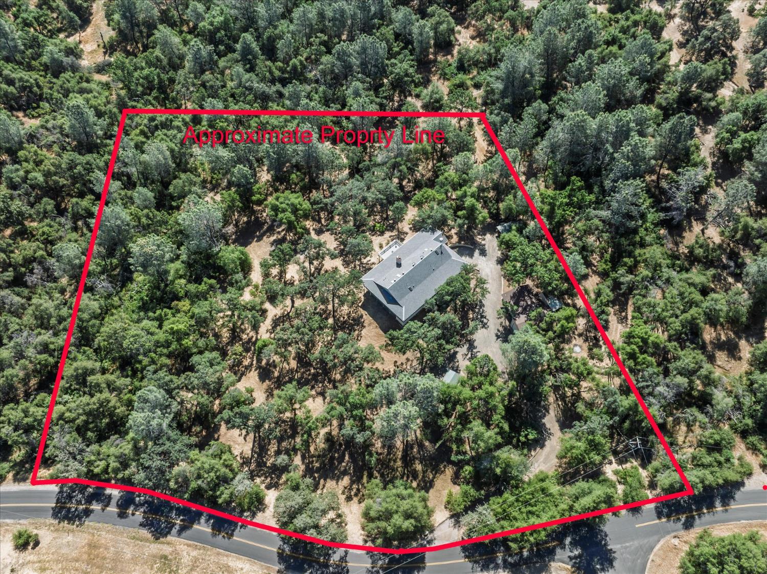 31493 Hazelwood