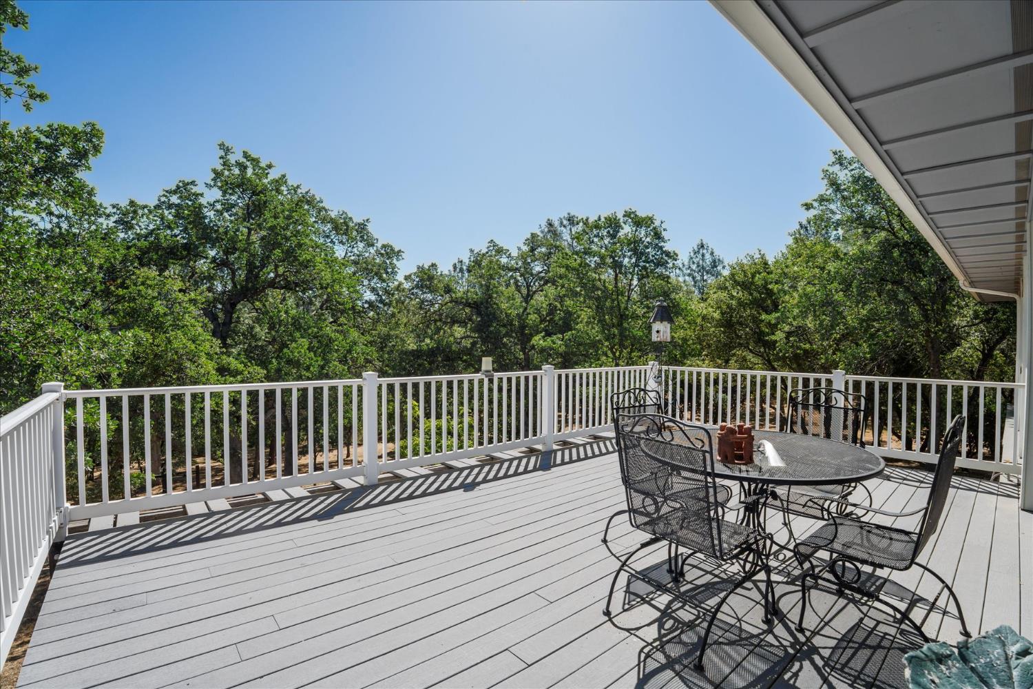 31493 Hazelwood