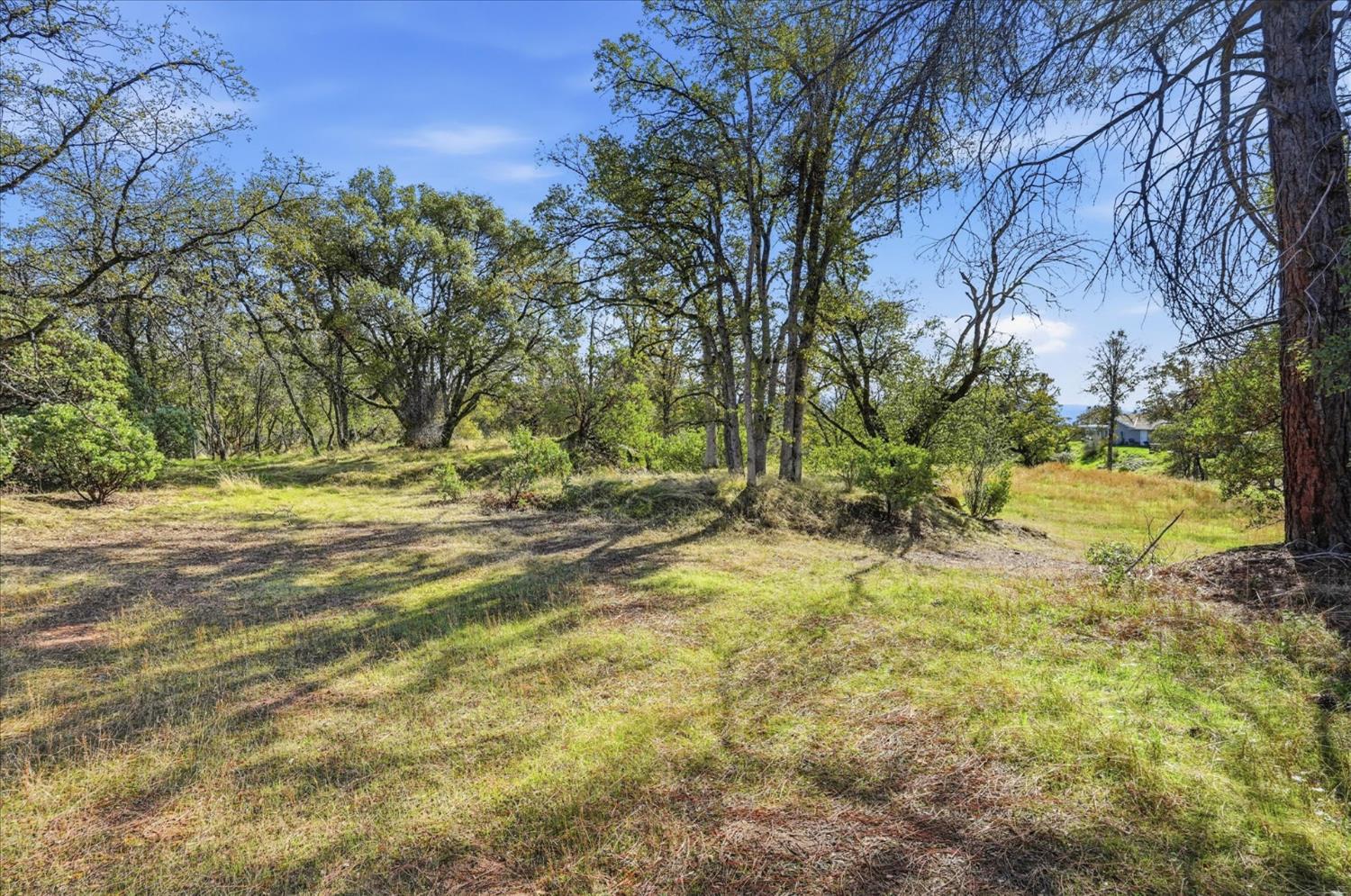 32169 Maranatha Drive