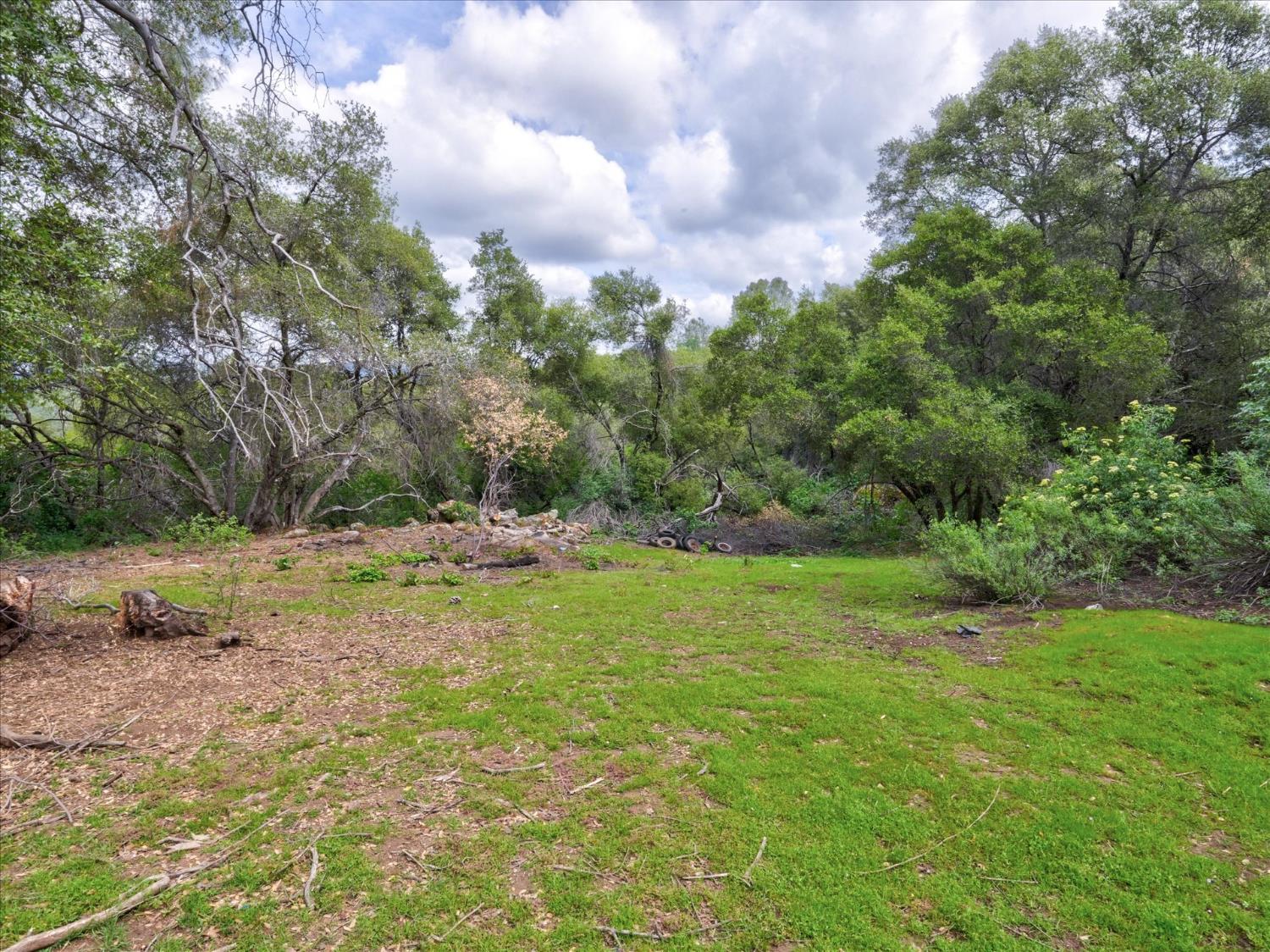 53899 Dogwood Drive