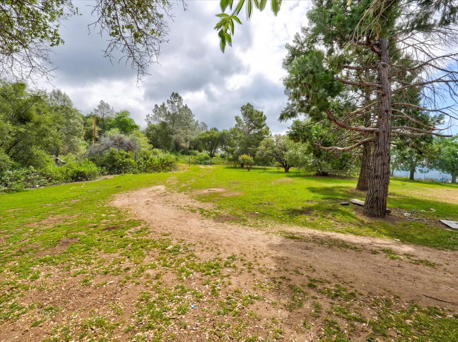 53899 Dogwood Drive