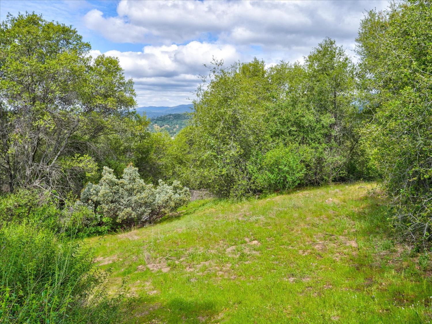53899 Dogwood Drive