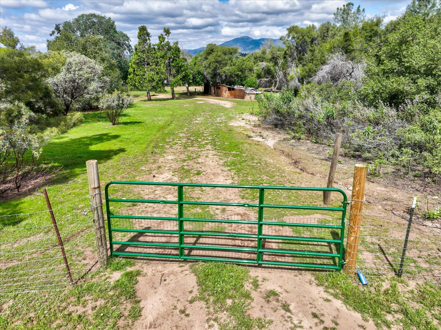 53899 Dogwood Drive
