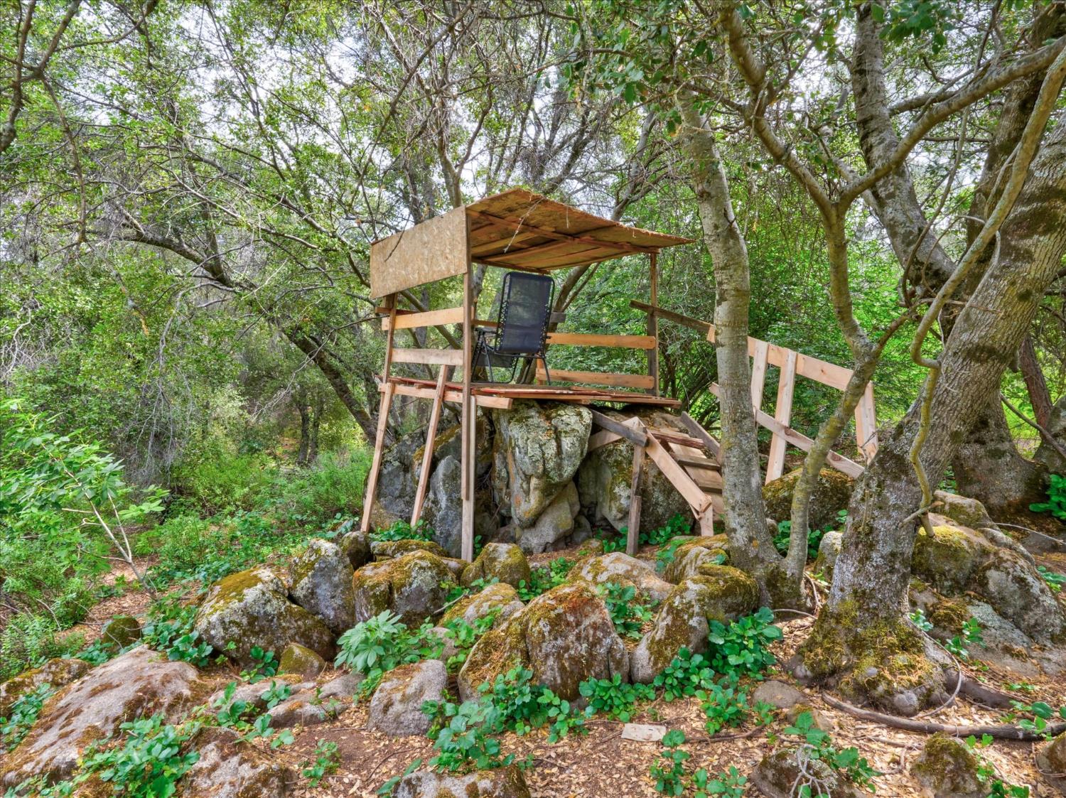53899 Dogwood Drive