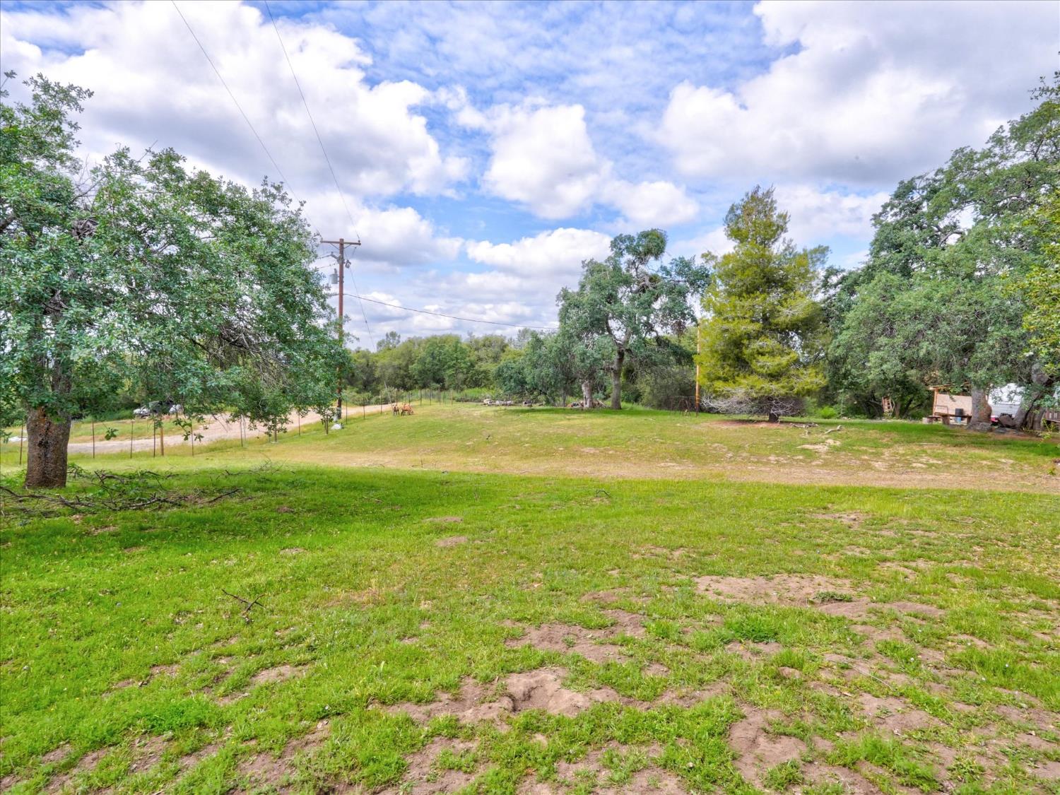 53899 Dogwood Drive