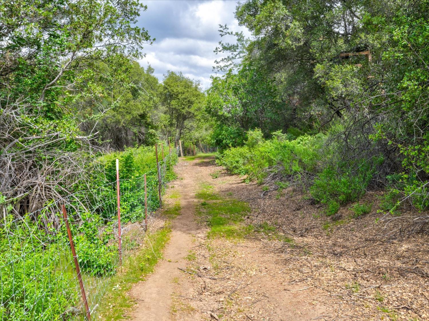 53899 Dogwood Drive