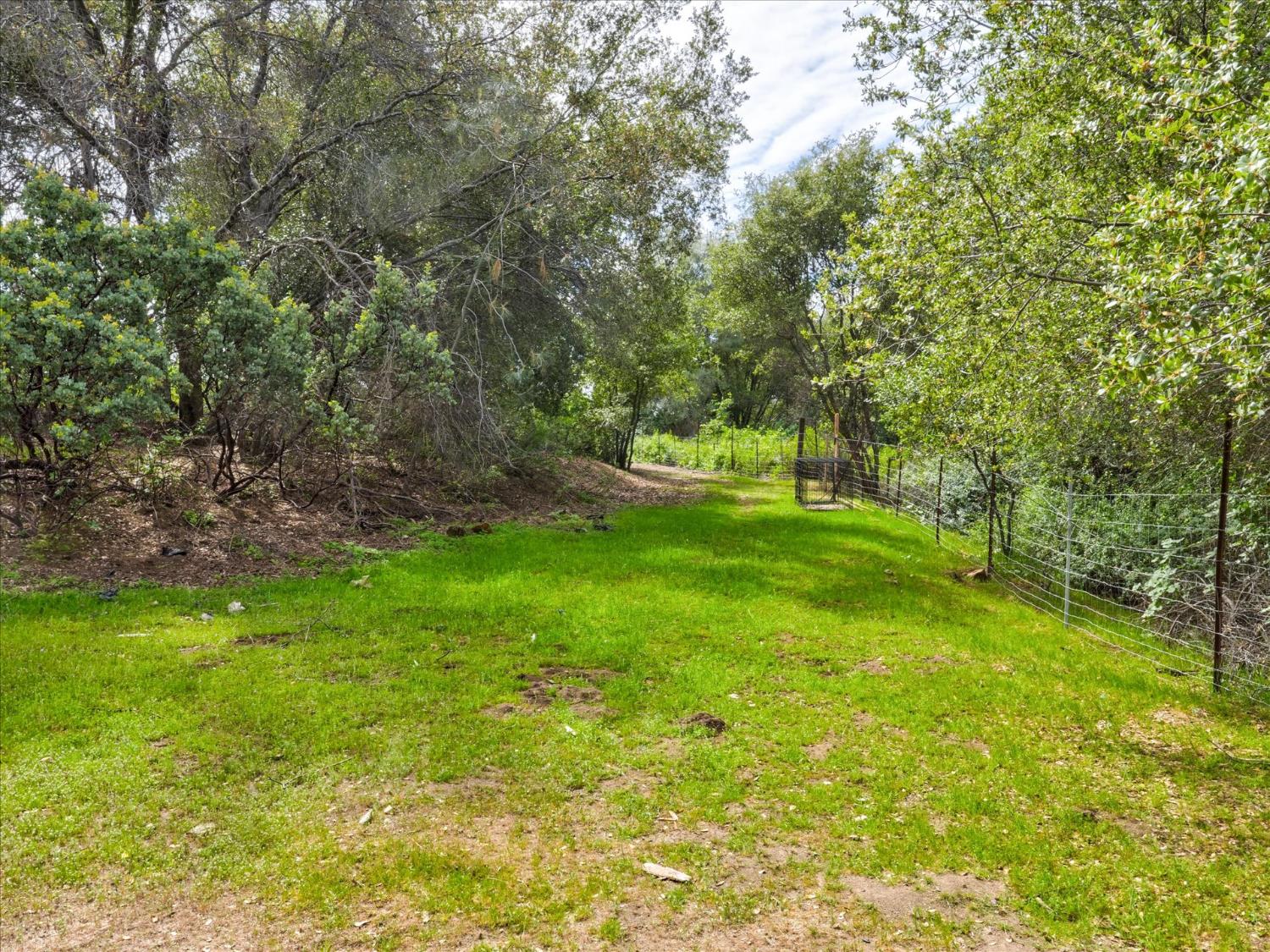 53899 Dogwood Drive