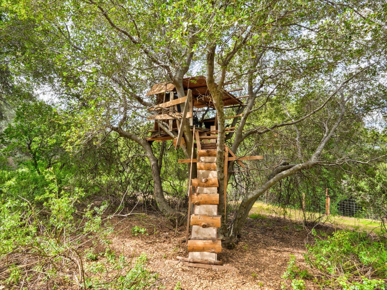 53899 Dogwood Drive