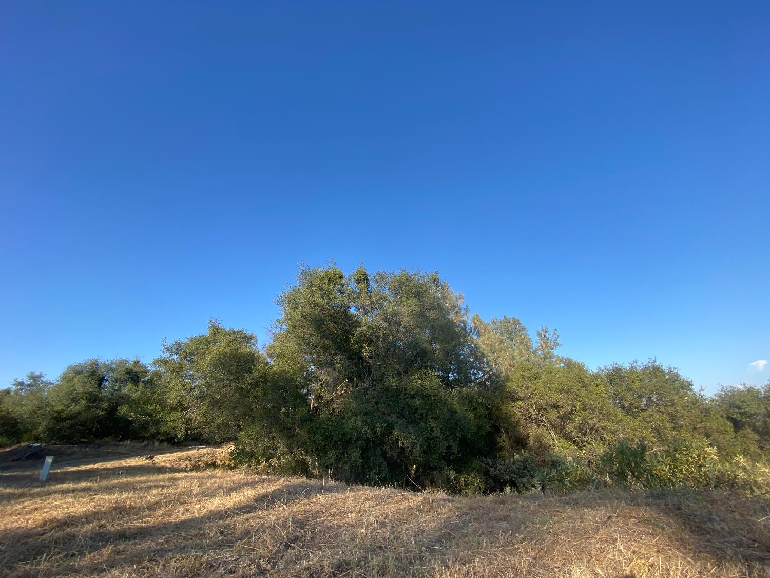 53748 Dogwood Drive