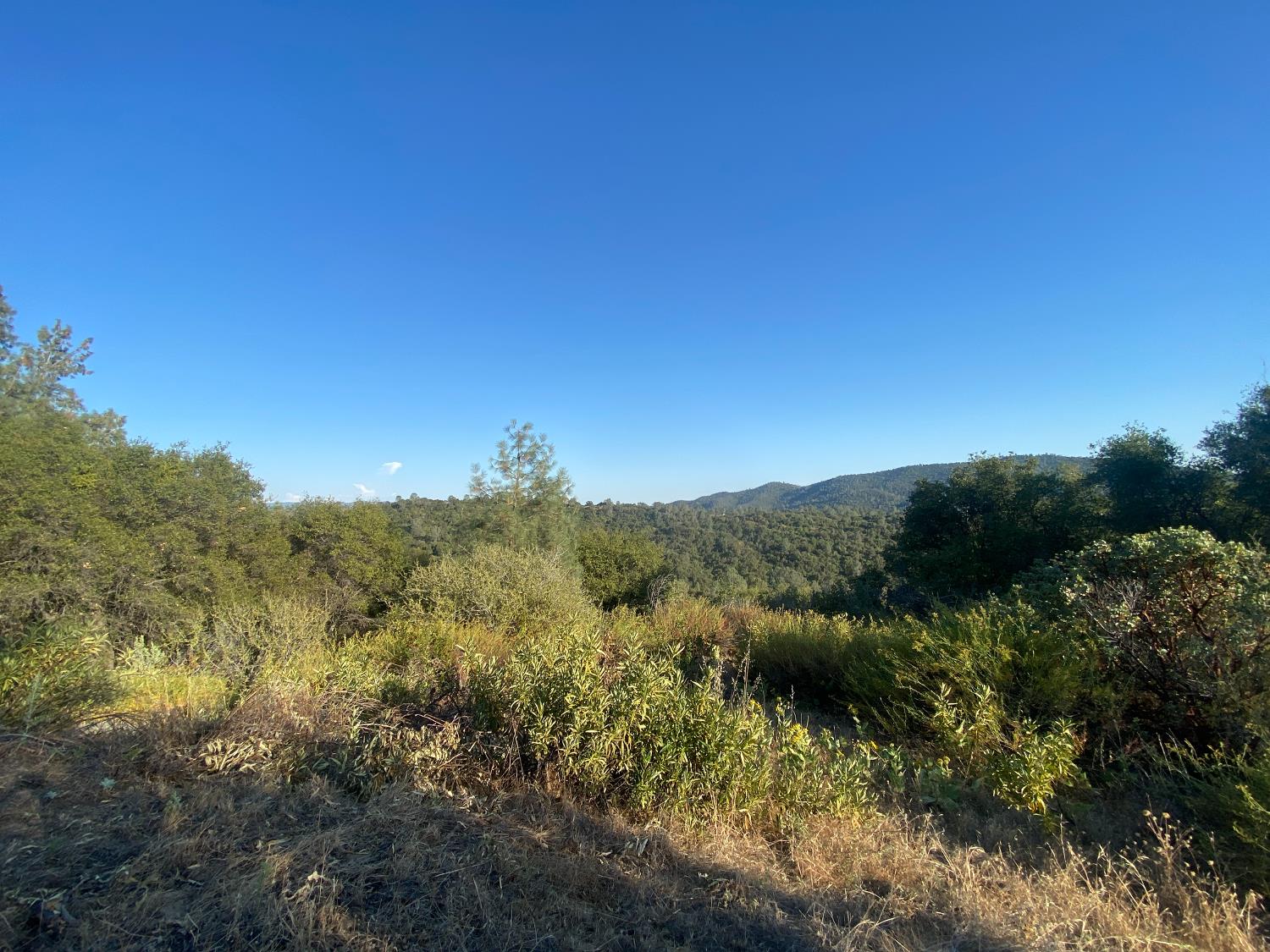 53748 Dogwood Drive