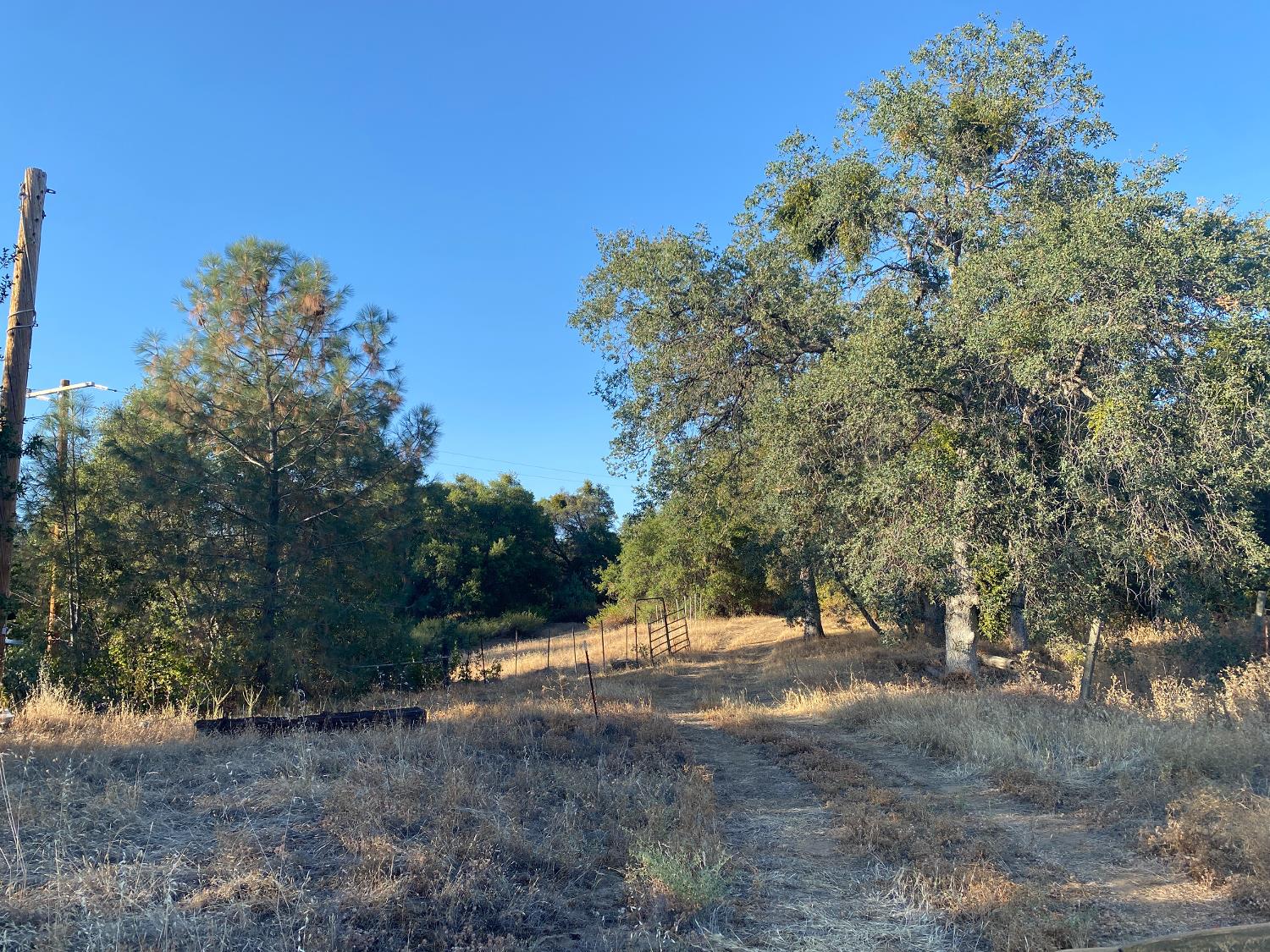 53748 Dogwood Drive