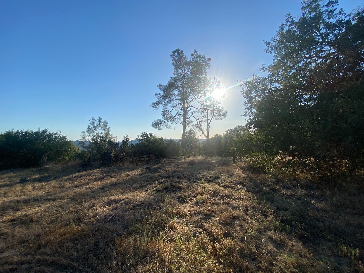 53748 Dogwood Drive