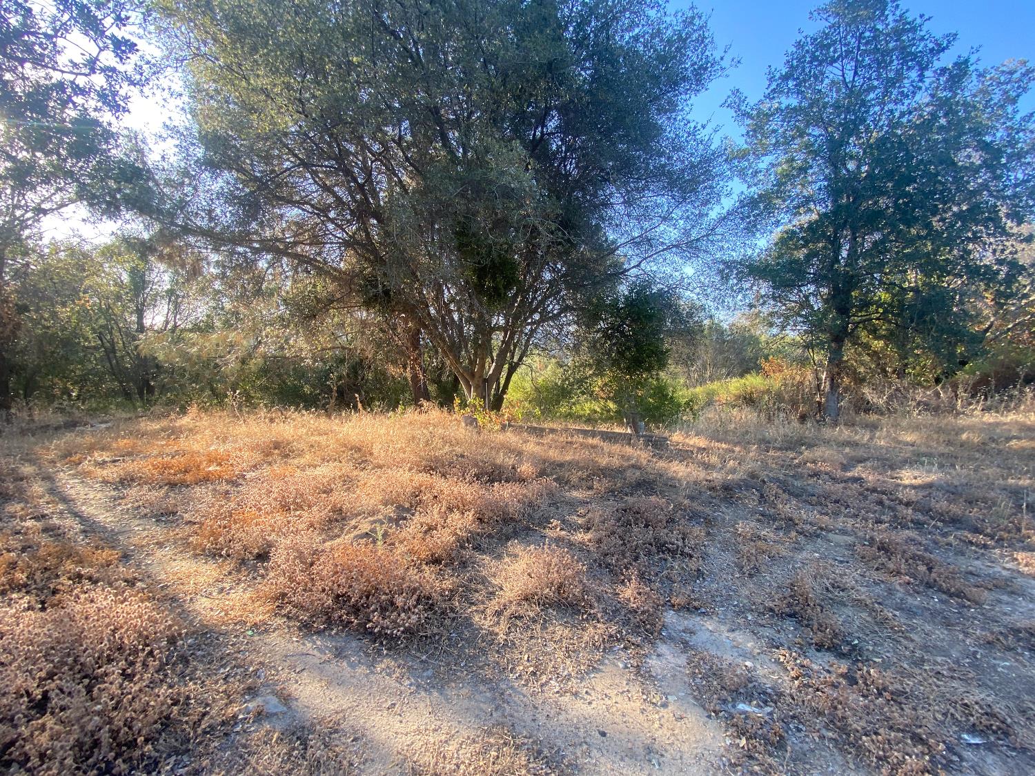 53748 Dogwood Drive