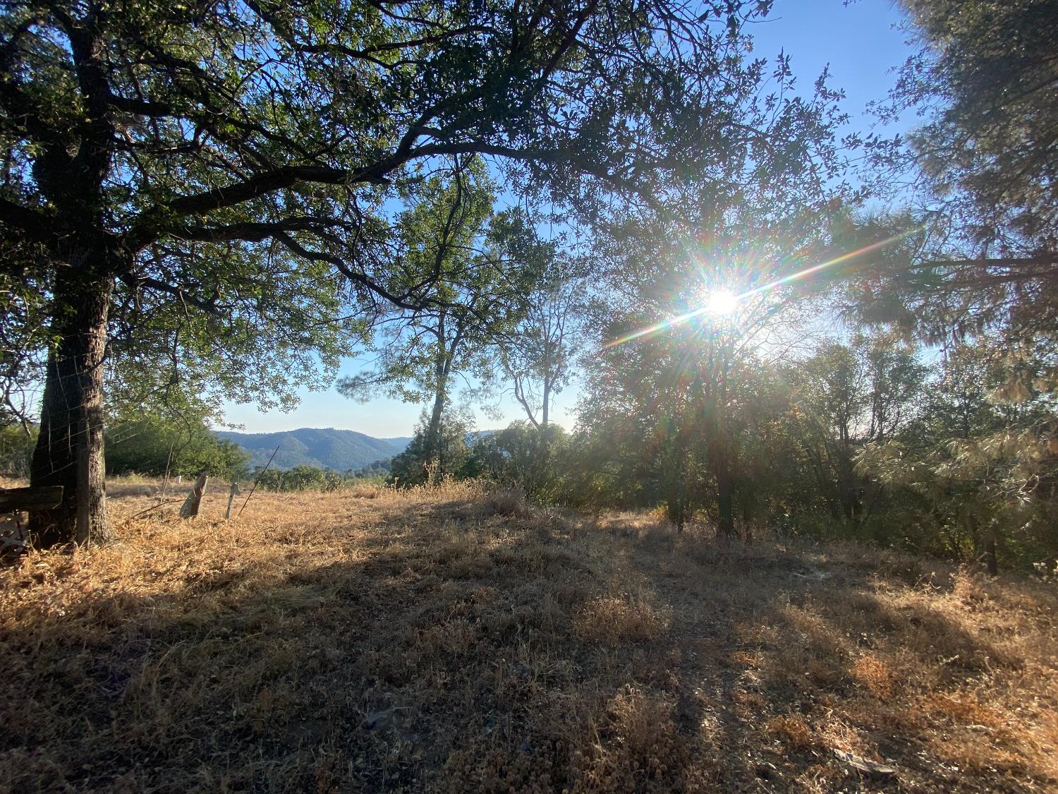 53748 Dogwood Drive