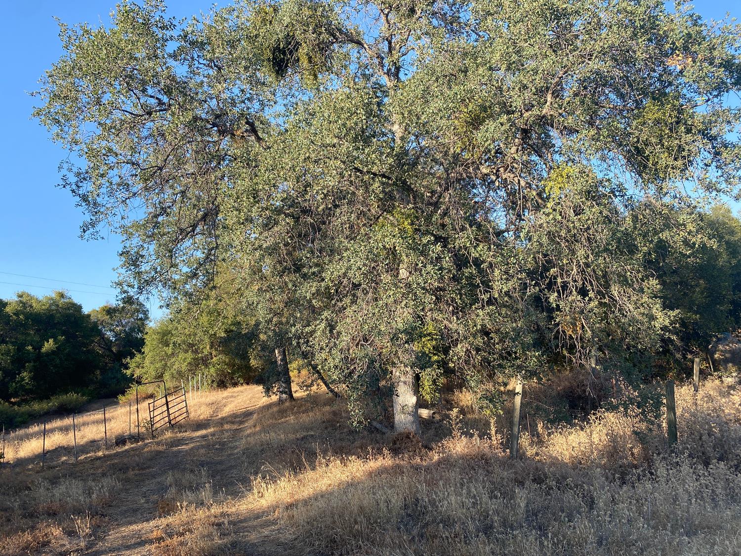 53748 Dogwood Drive