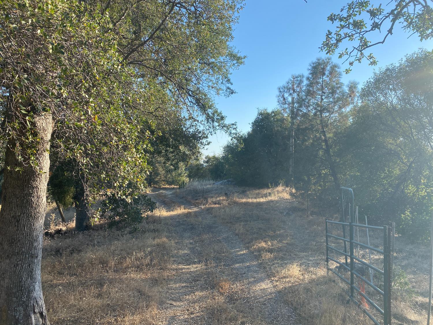 53748 Dogwood Drive