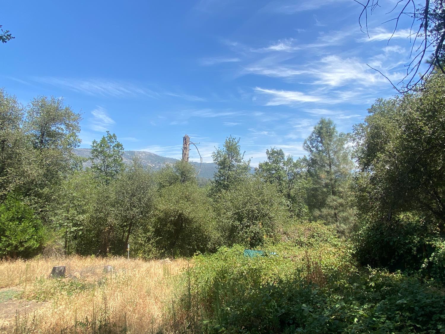 35995 Sierra Linda Drive