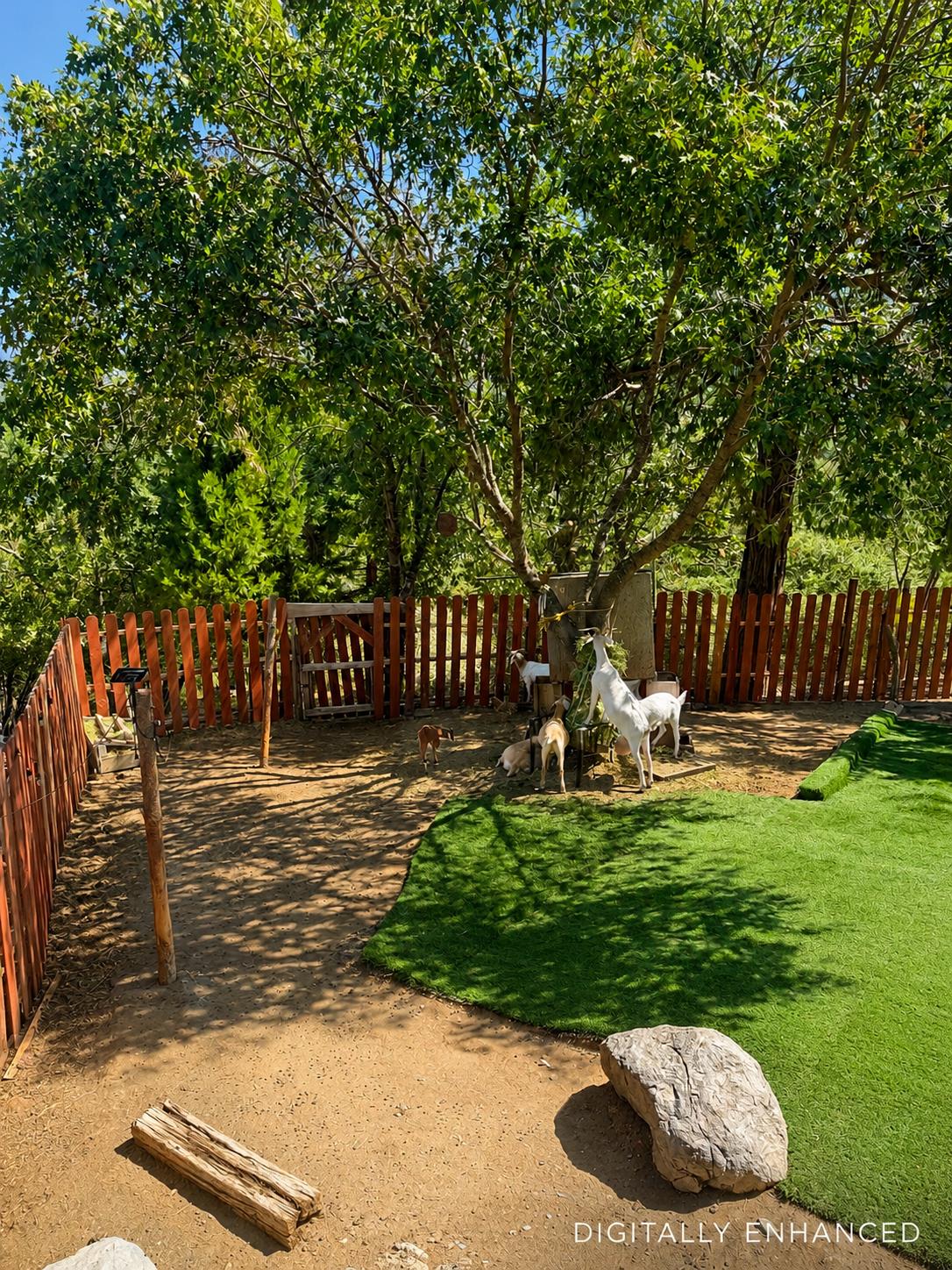 32633 Road 222