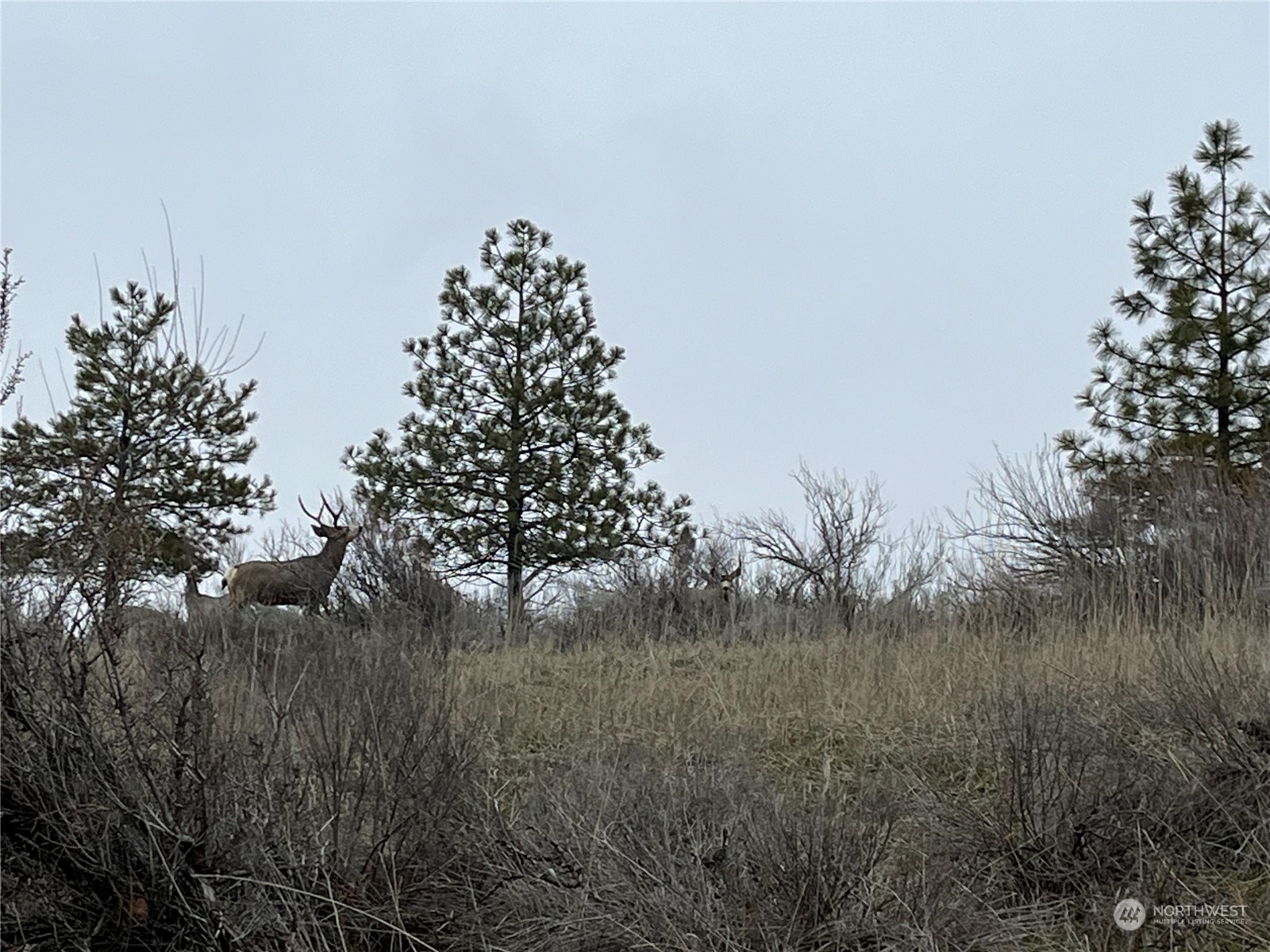 0 Miles Creston Road