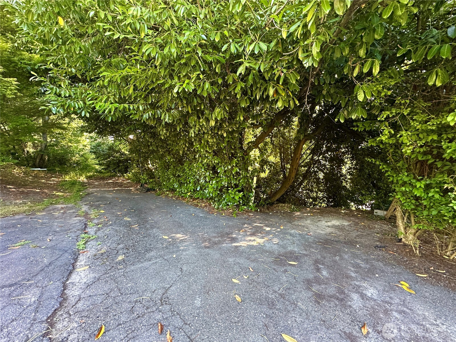 9809 Shepler Road NE