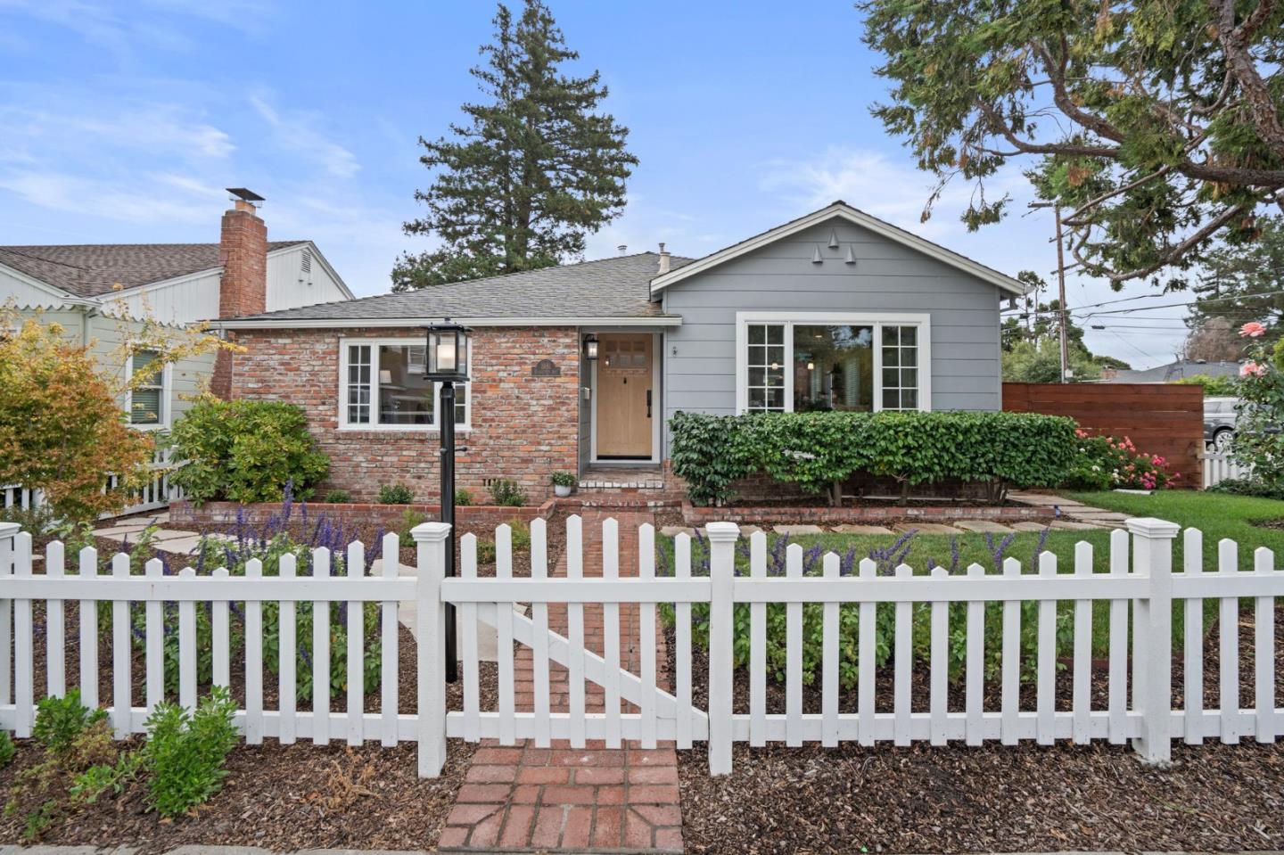 1981 Eucalyptus AVE