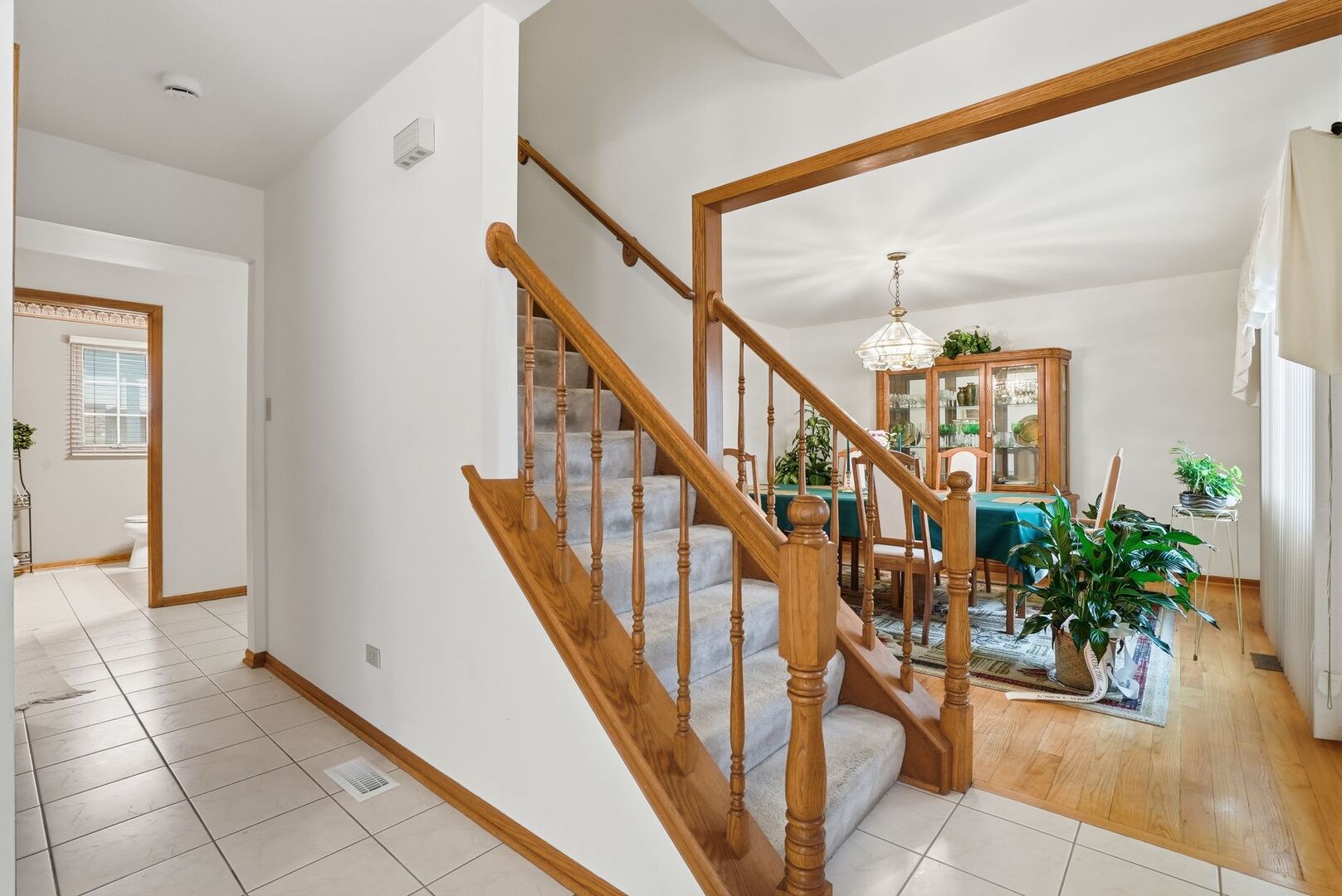 3631 Parthenon Way