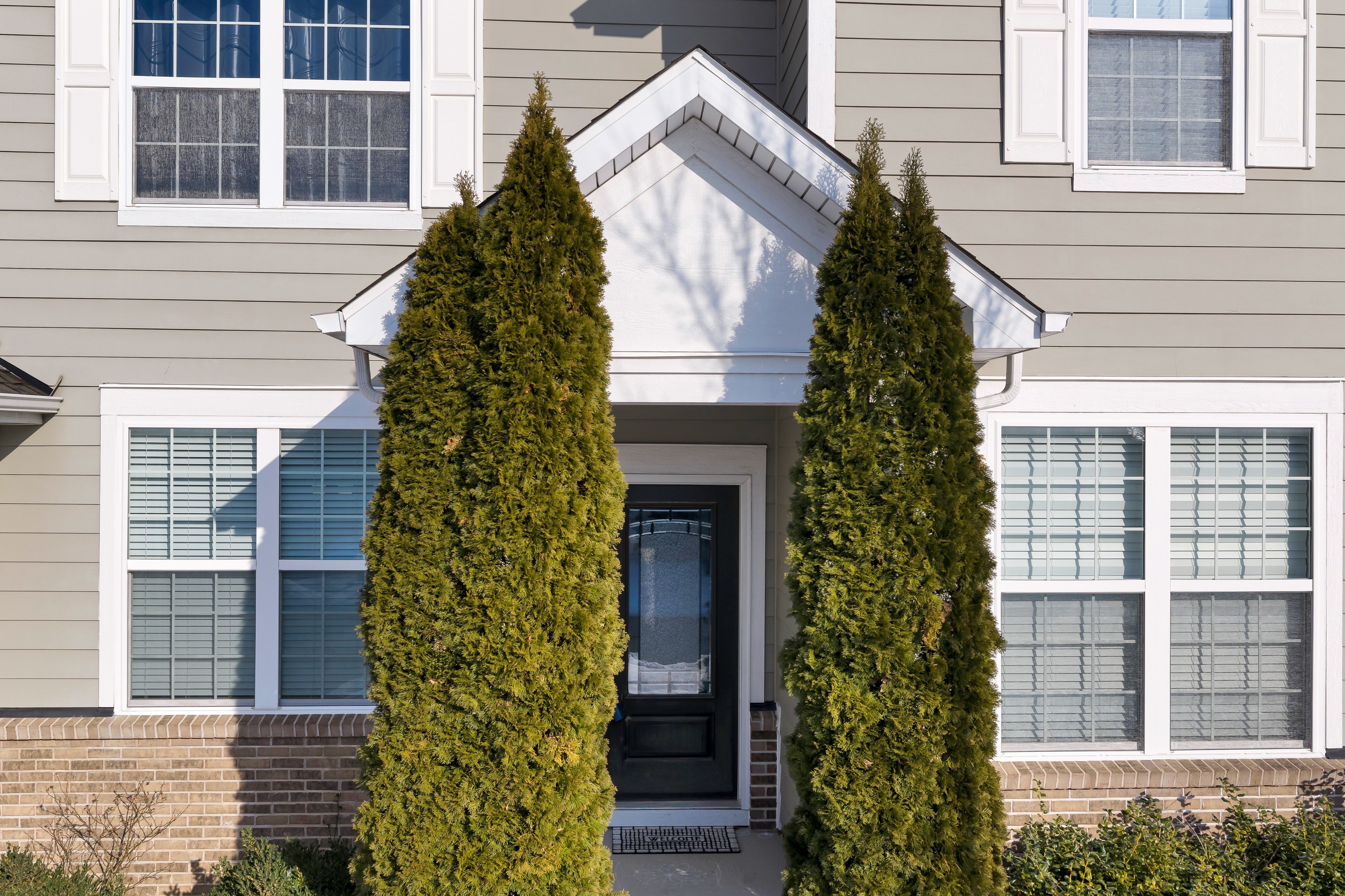 House entrance with a white peaked awning, dark door, and two tall evergreen trees.