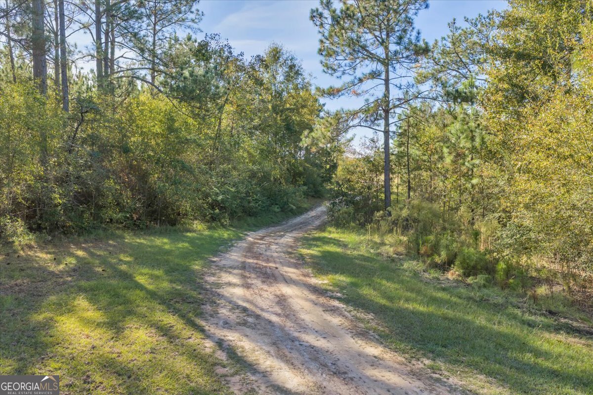 874 Mistletoe Road, Abbeville