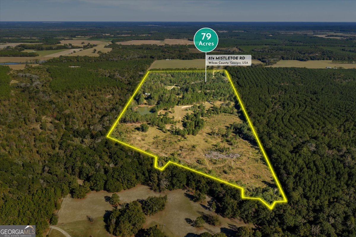 874 Mistletoe Road, Abbeville