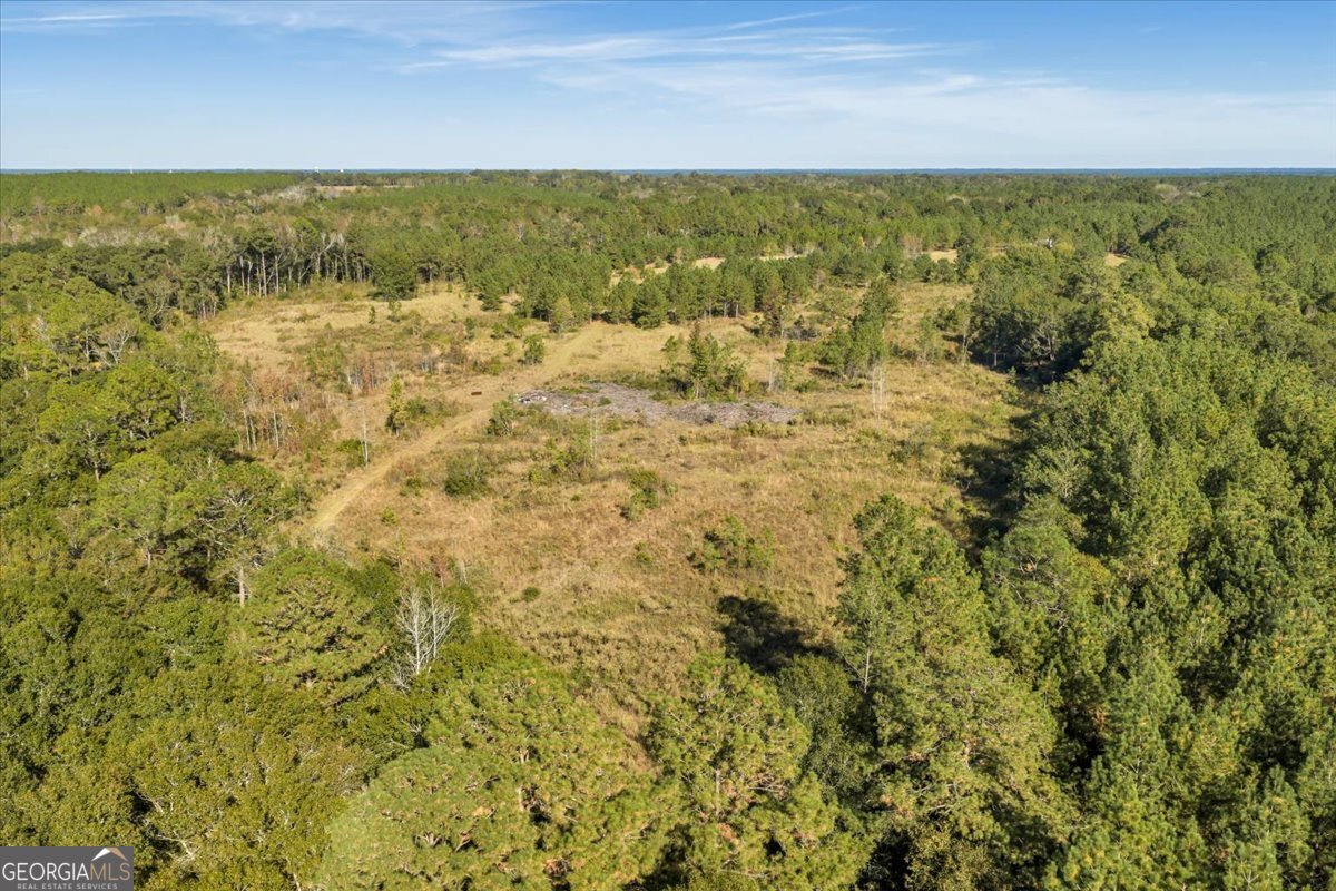 874 Mistletoe Road, Abbeville