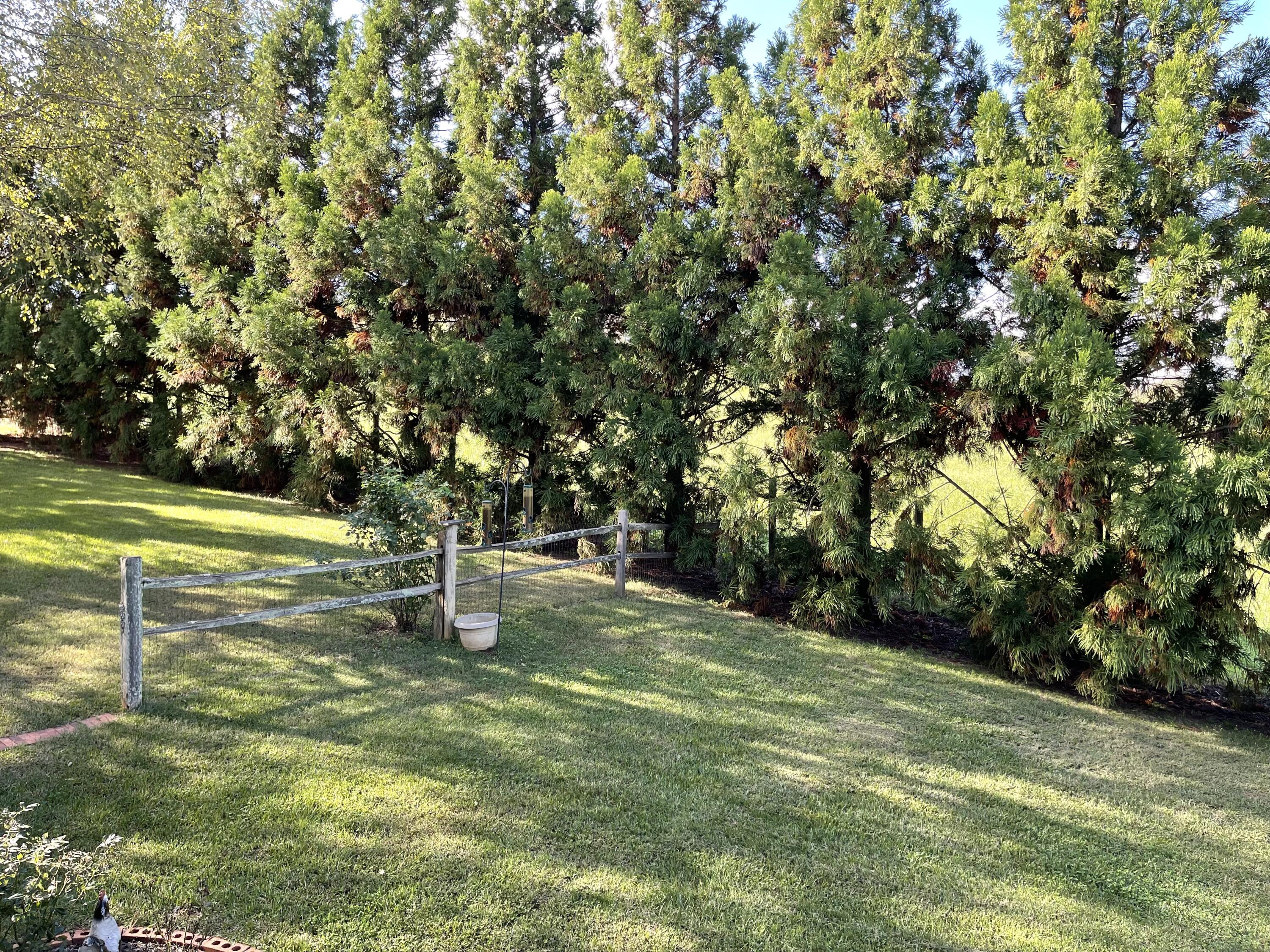 4807 Brookview Drive