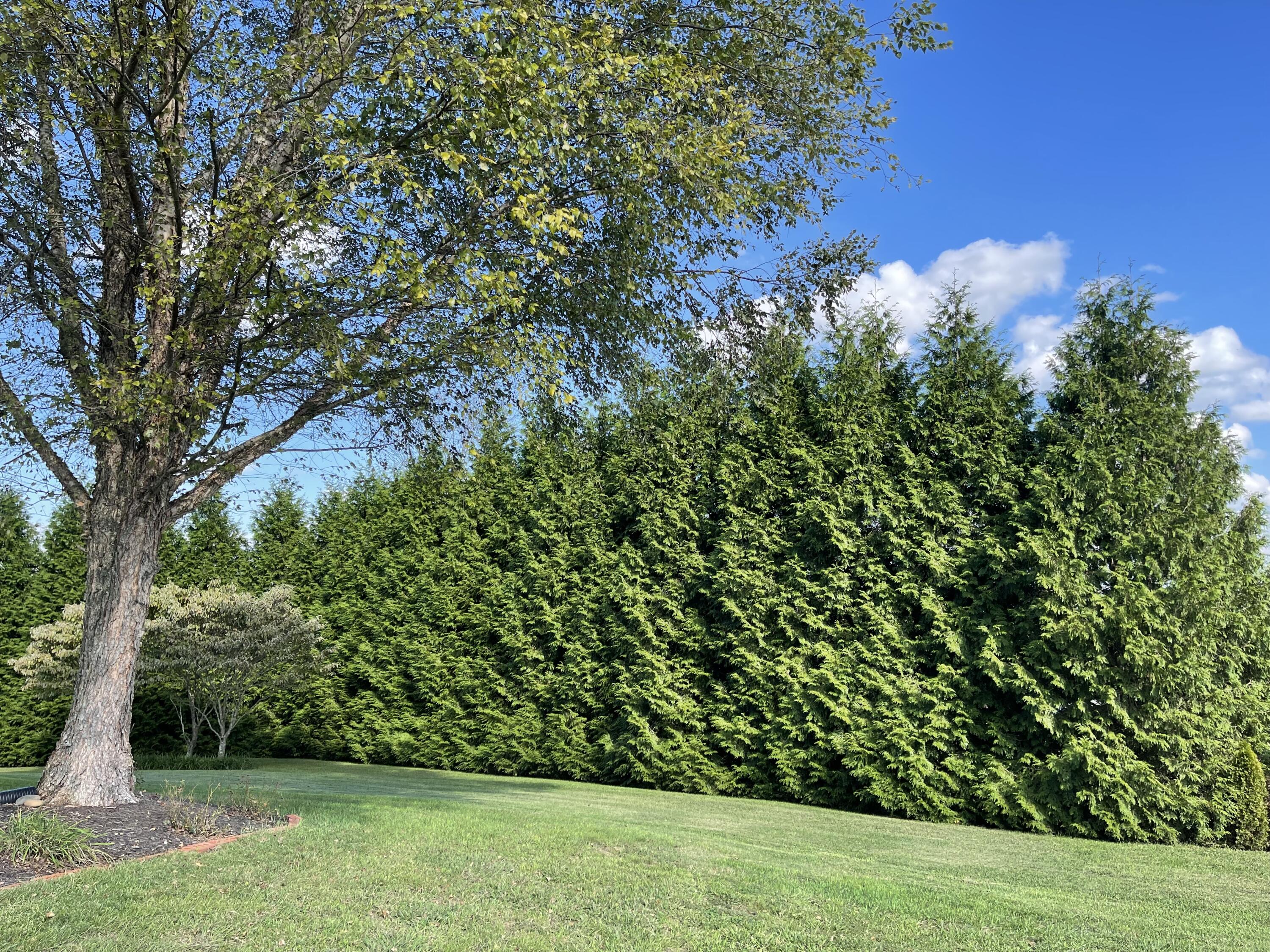 4807 Brookview Drive