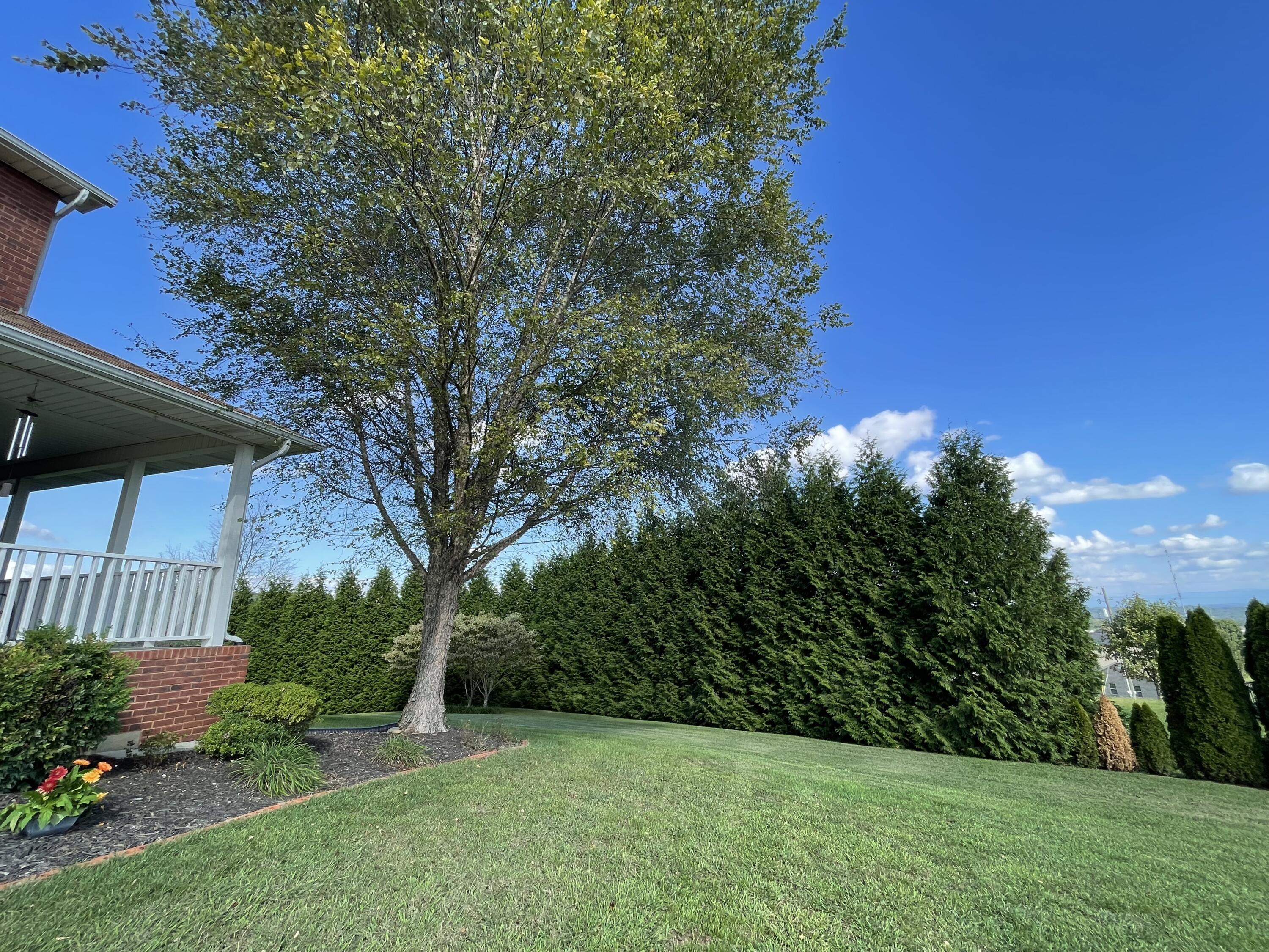 4807 Brookview Drive