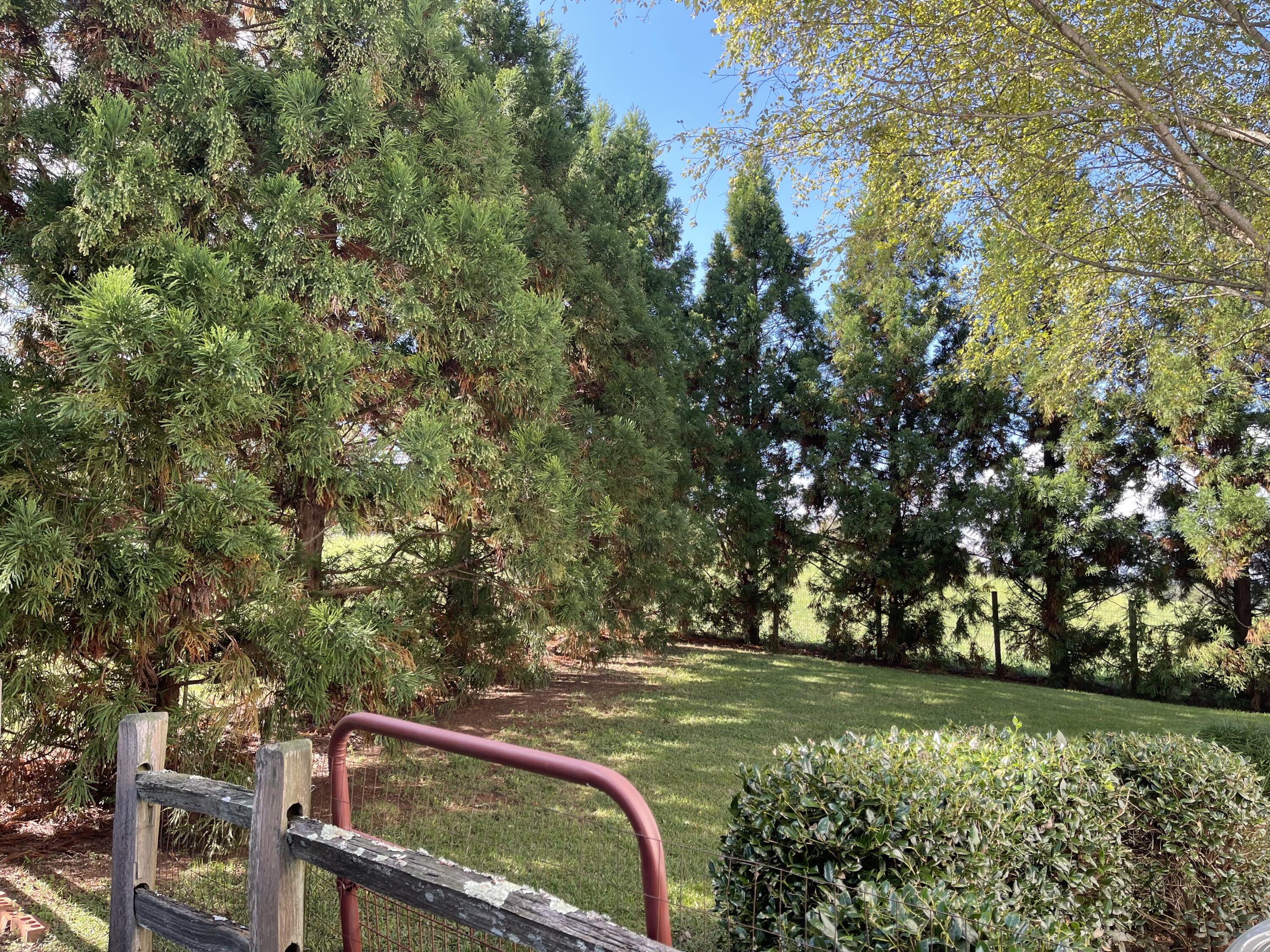4807 Brookview Drive