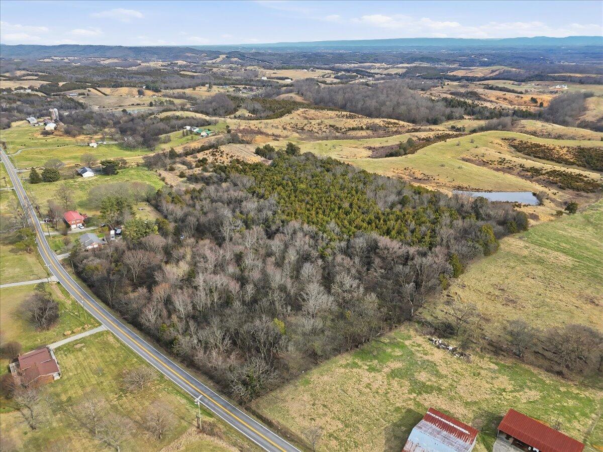 Aerial view of wooded acreage bordered by open fields, with a small pond and road.