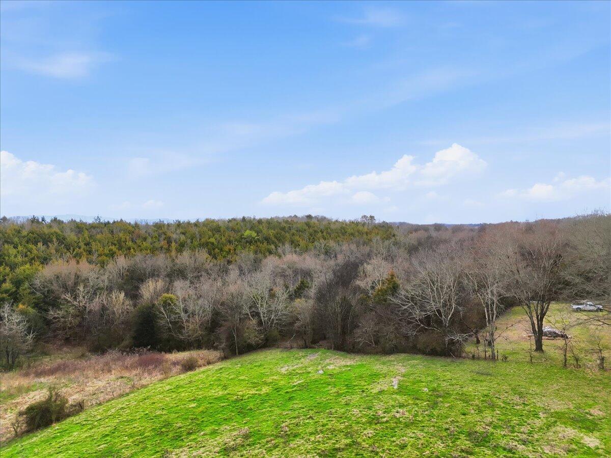 Green sloping field bordered by wooded hills and bare trees beneath a blue, cloud-dotted sky.