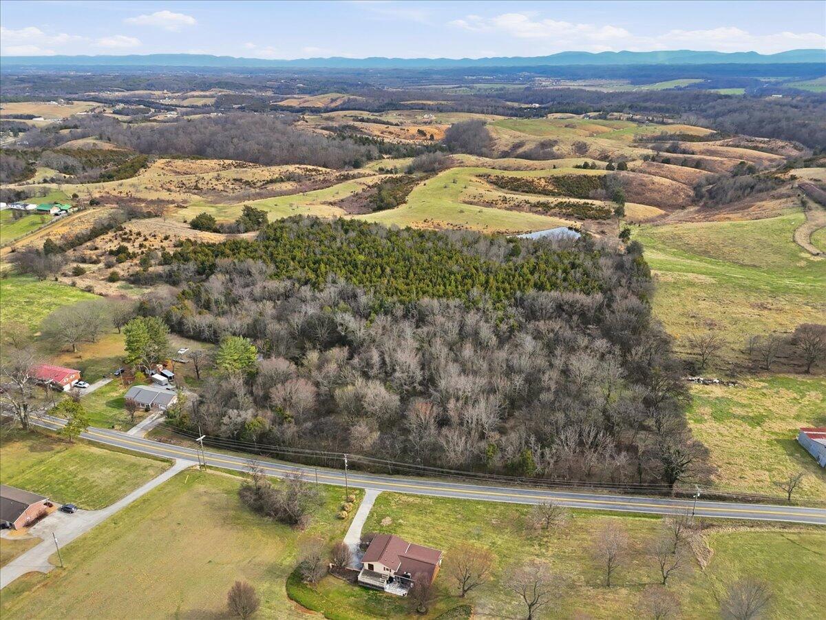 Aerial view of wooded rural acreage beside a road, with open fields and distant mountains.