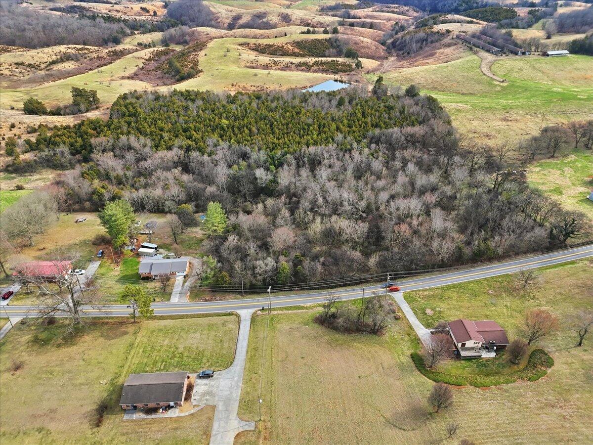 Aerial view of wooded land and open fields beside a road, with a small pond and nearby homes.