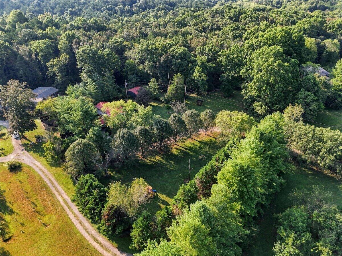 Aerial view of a wooded property with a gravel driveway, open lawn, and buildings among the trees.