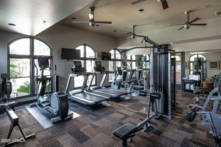 15802 N 71ST Street, 304