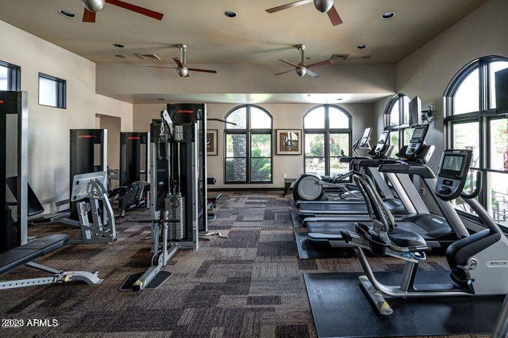 15802 N 71ST Street, 304