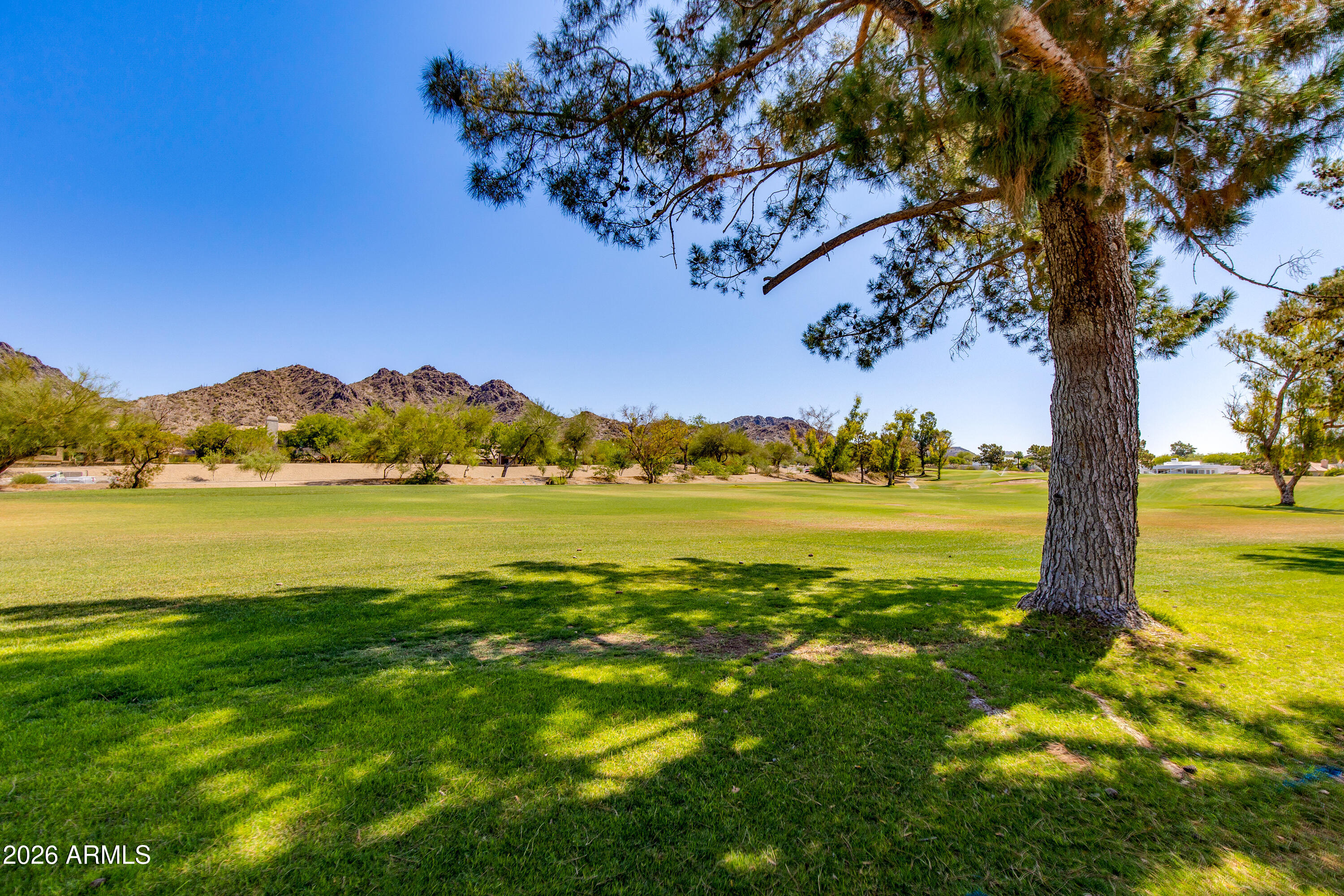 3038 E STELLA Lane