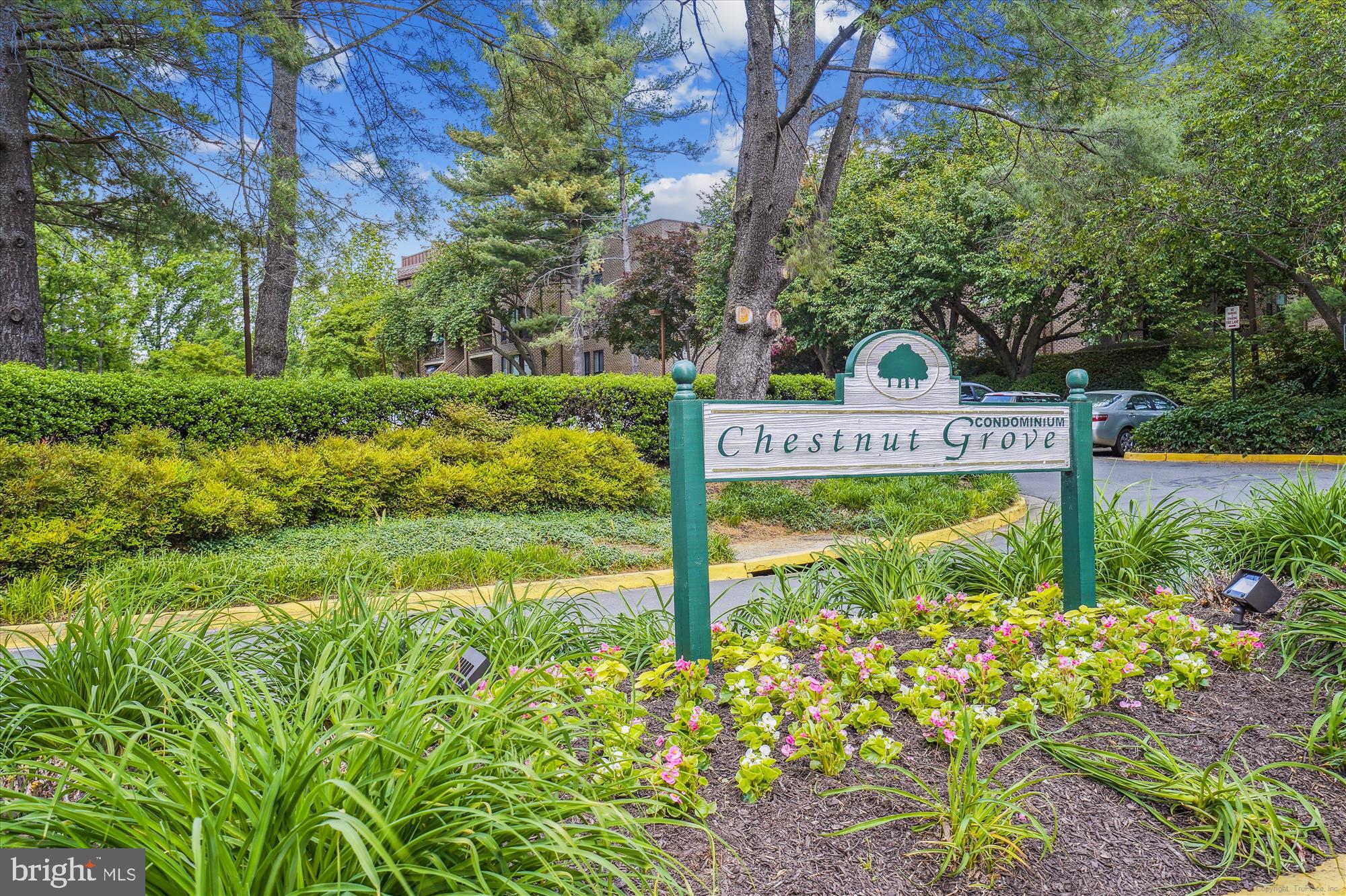 11228 CHESTNUT GROVE SQUARE 16