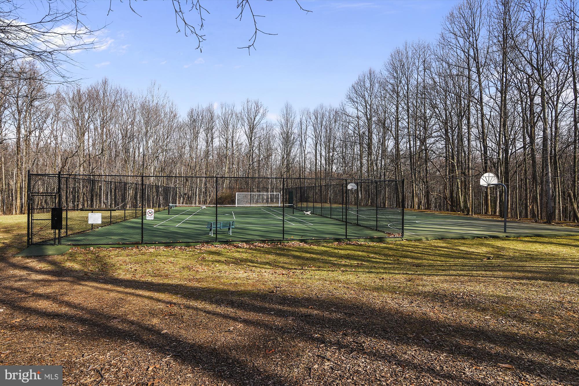 11228 CHESTNUT GROVE SQUARE 16