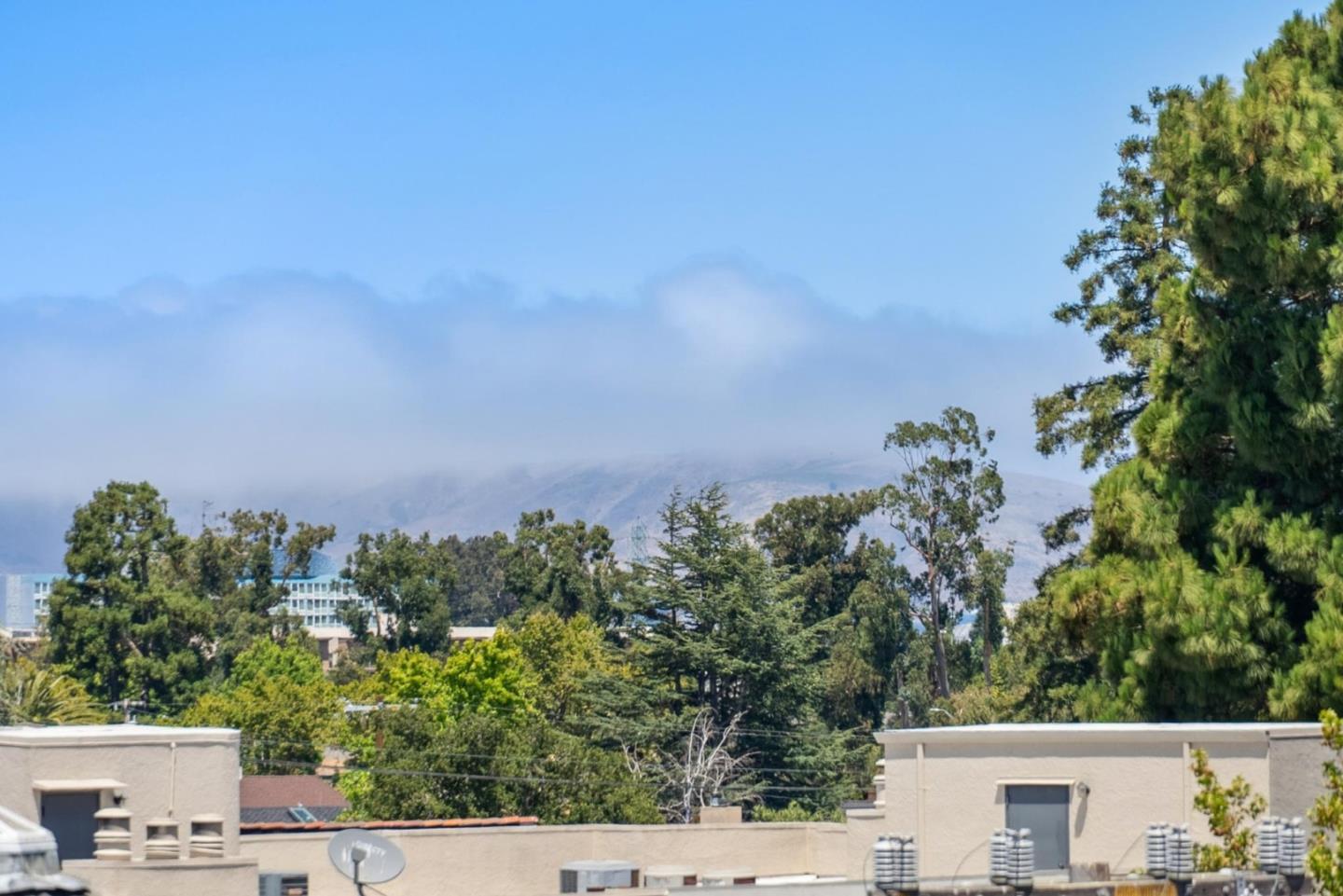 1433 Floribunda Avenue