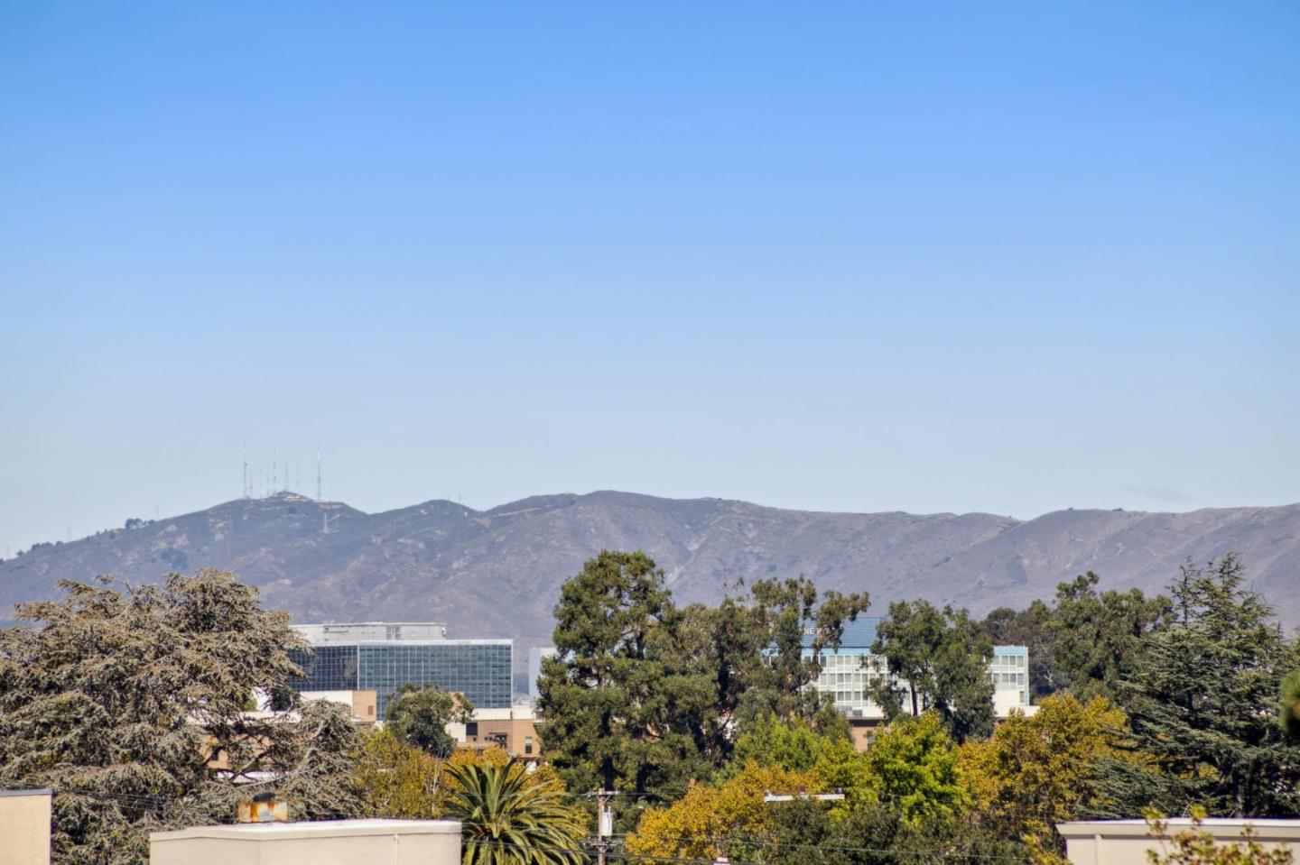 1433 Floribunda Avenue 7