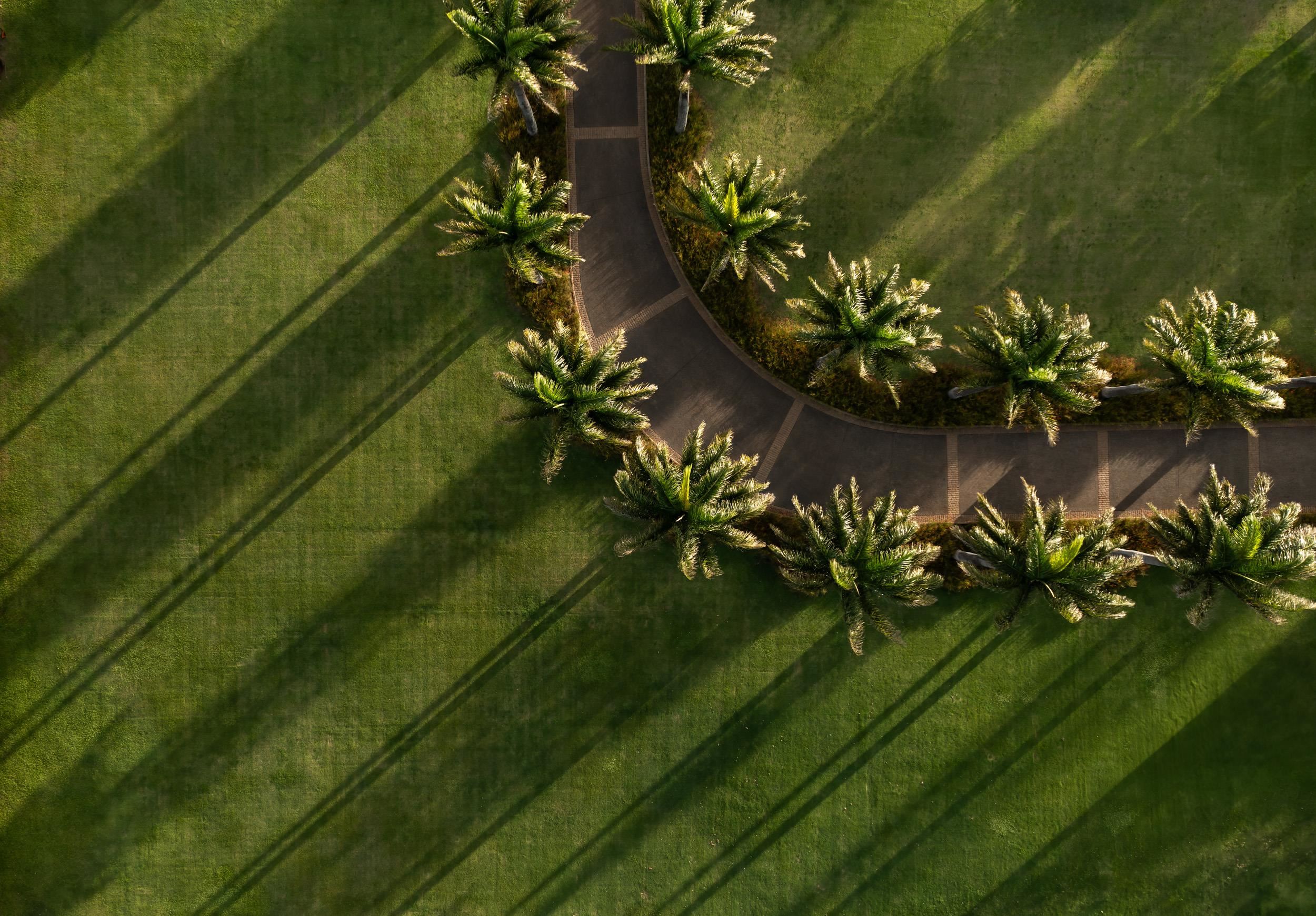 215 Plantation Club Dr