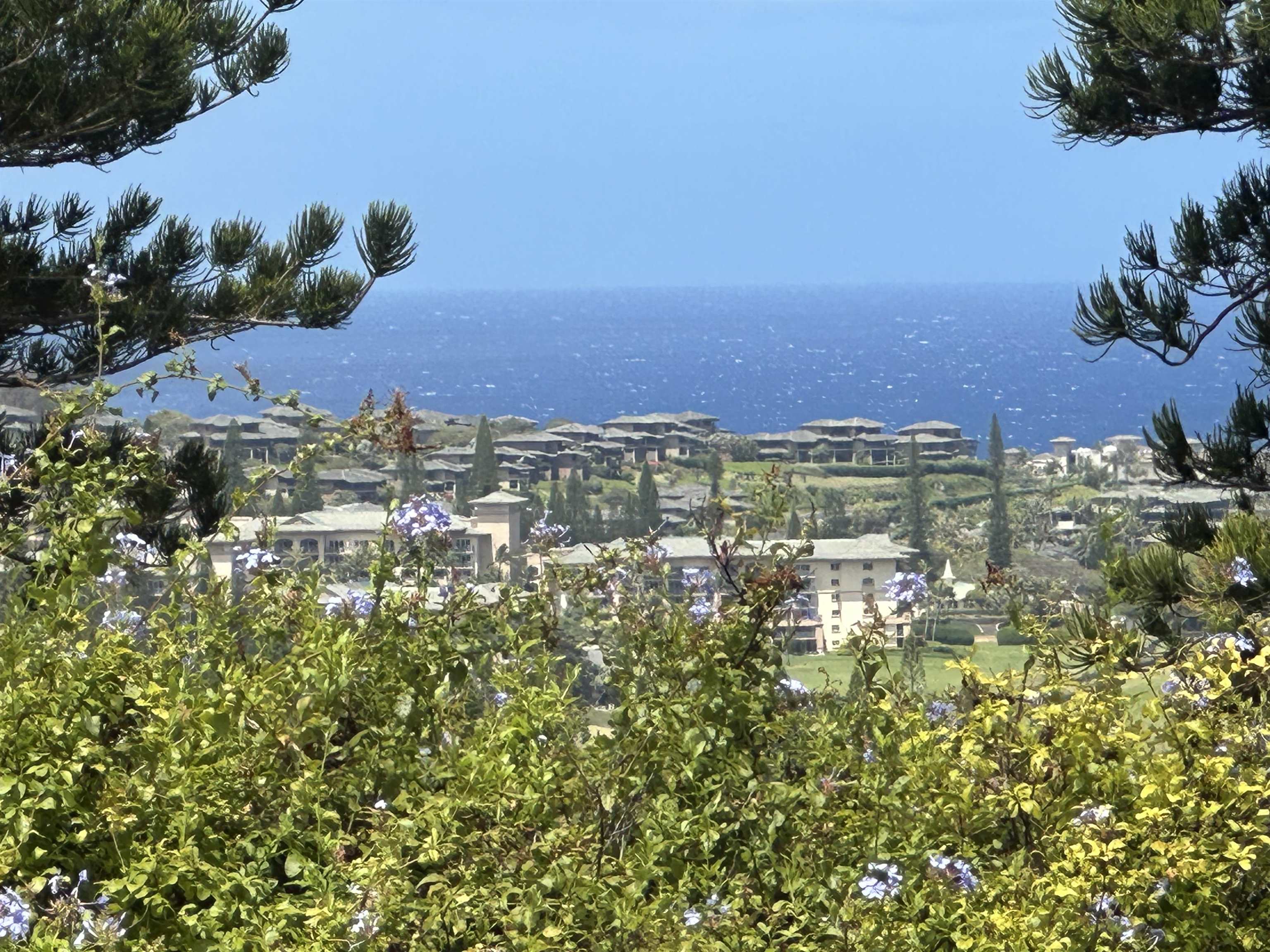 215 Plantation Club Dr